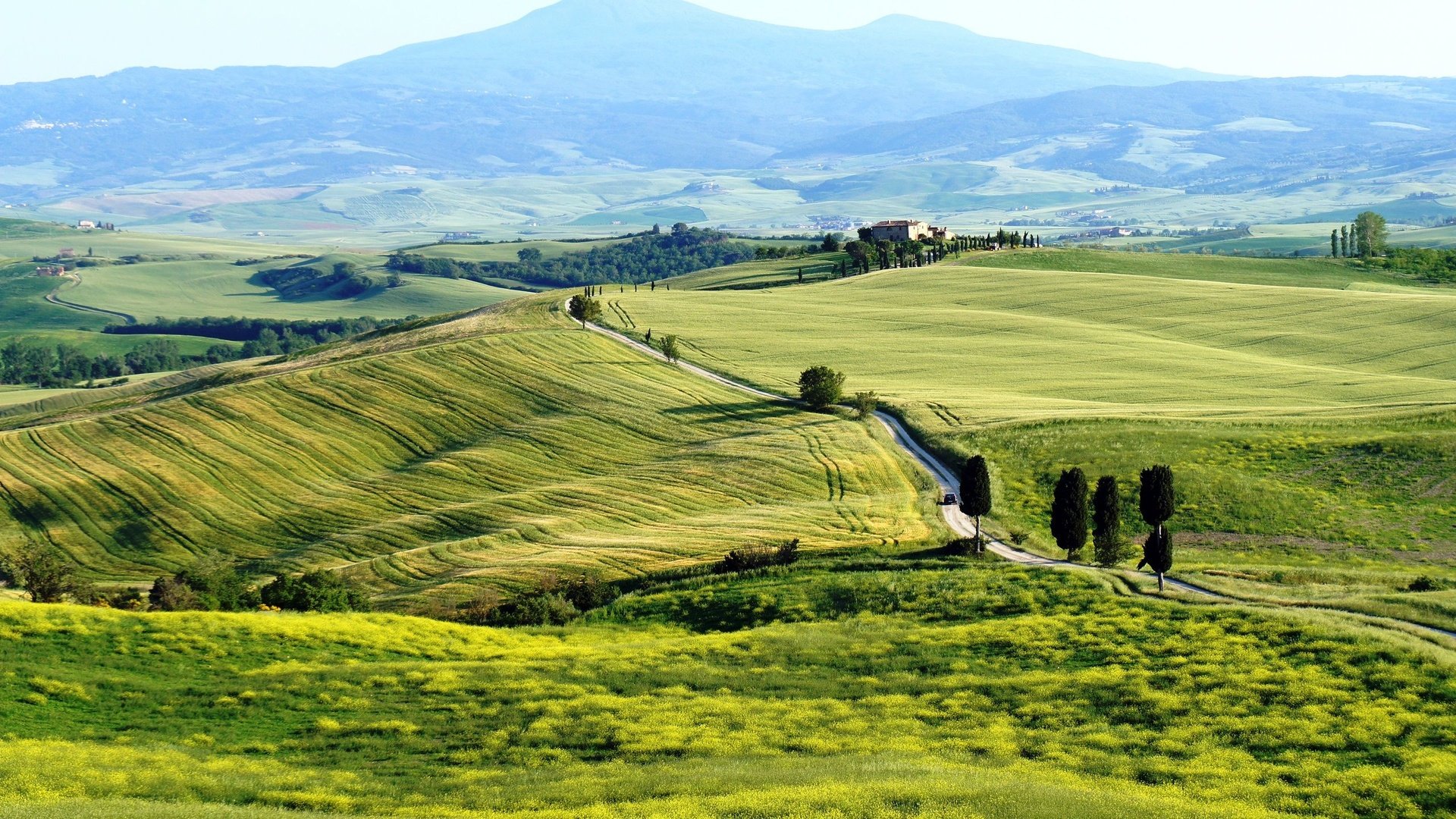 Обои поля, италия, тоскана, toscana, pienza, пьенца, terrapille, field, italy, tuscany разрешение 2560x1440 Загрузить