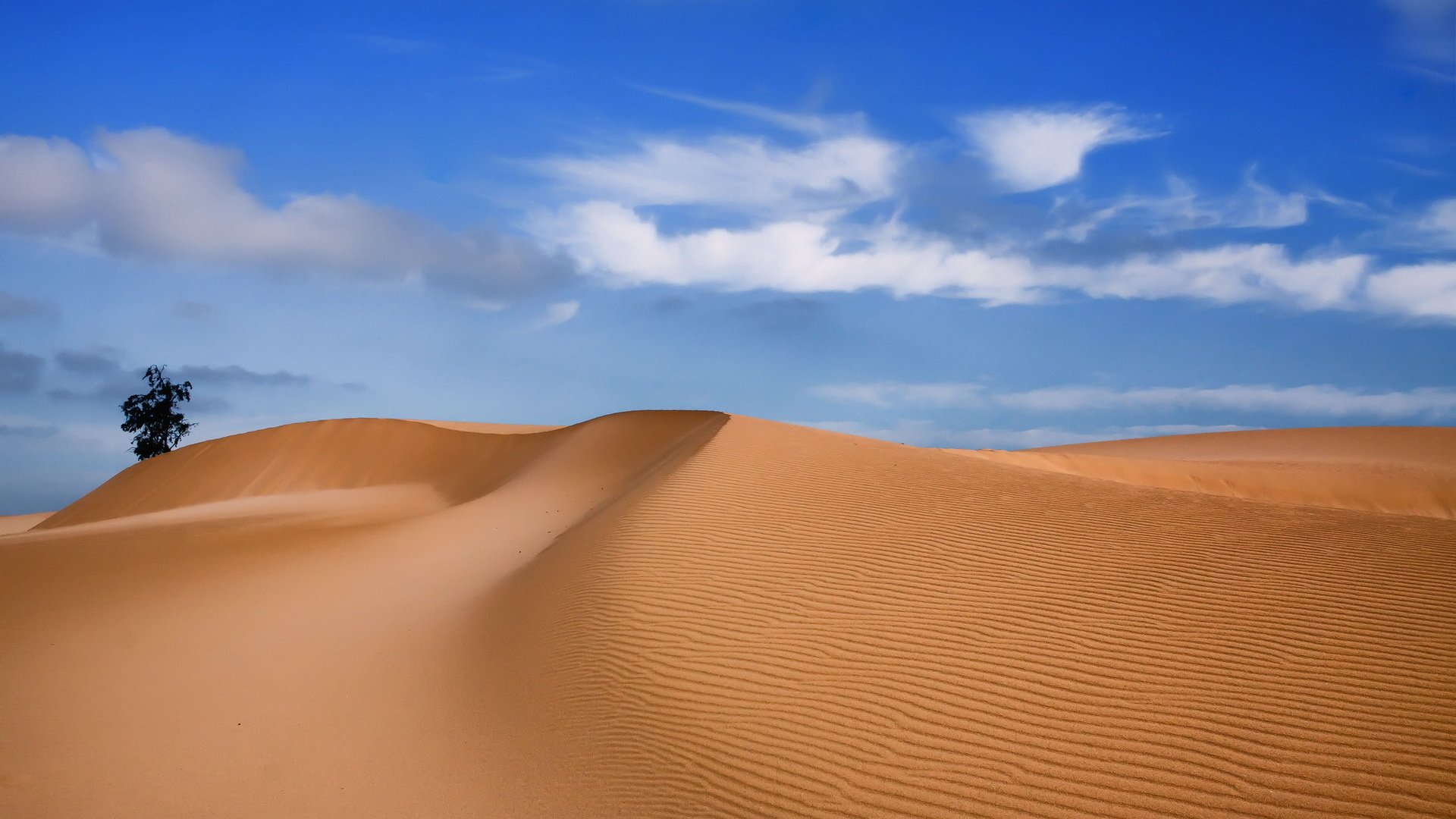 Обои песок, пустыня, sand, desert разрешение 1920x1200 Загрузить