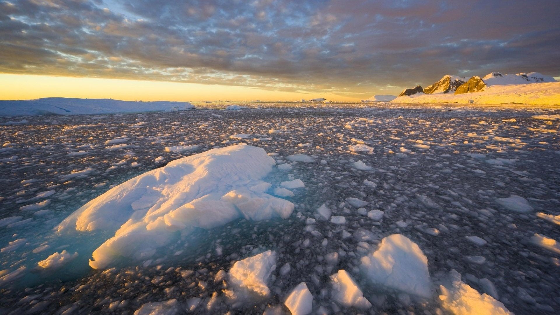 Обои море, лёд, sea, ice разрешение 1920x1200 Загрузить