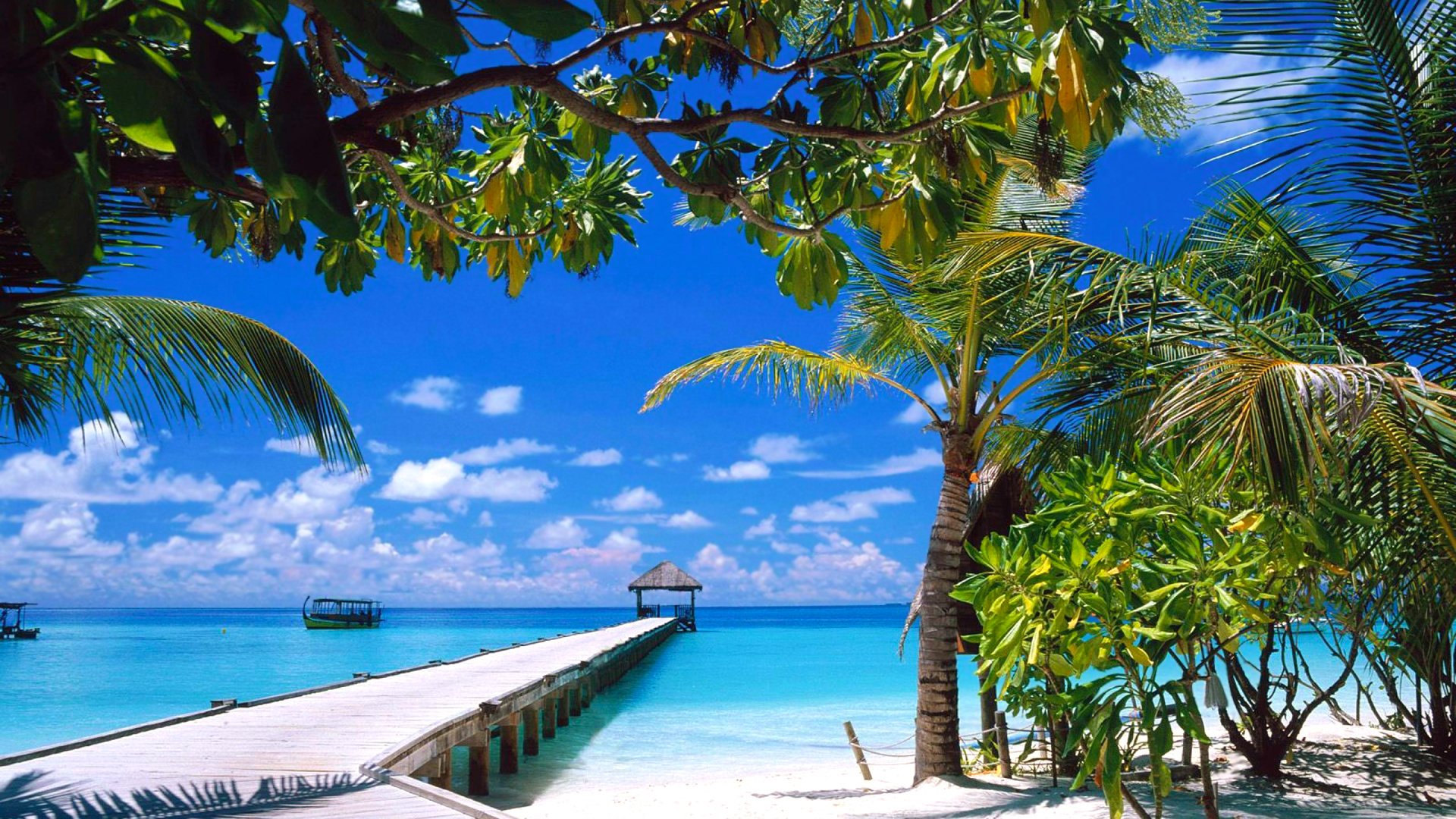 Обои пляж, тропики, мальдивы, beach, tropics, the maldives разрешение 2560x1920 Загрузить