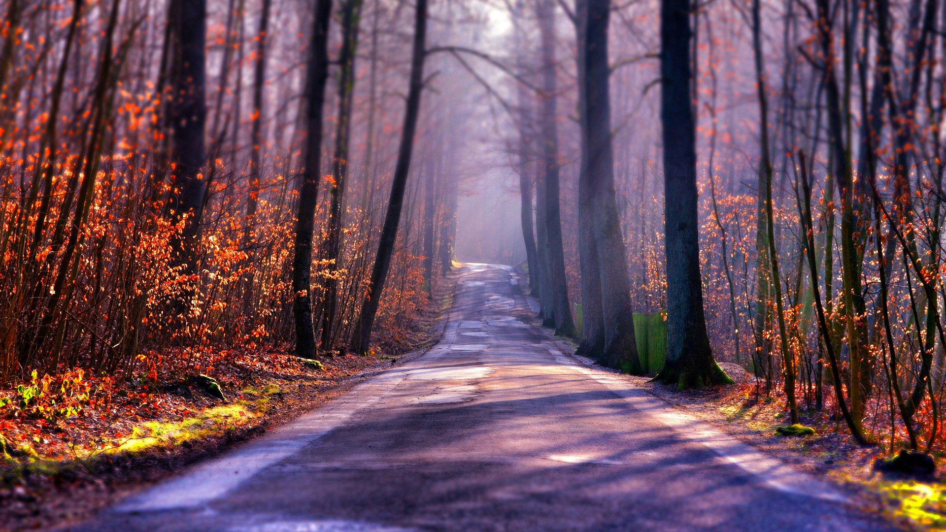 Обои свет, дорога, деревья, туман, осень, light, road, trees, fog, autumn разрешение 2048x1356 Загрузить