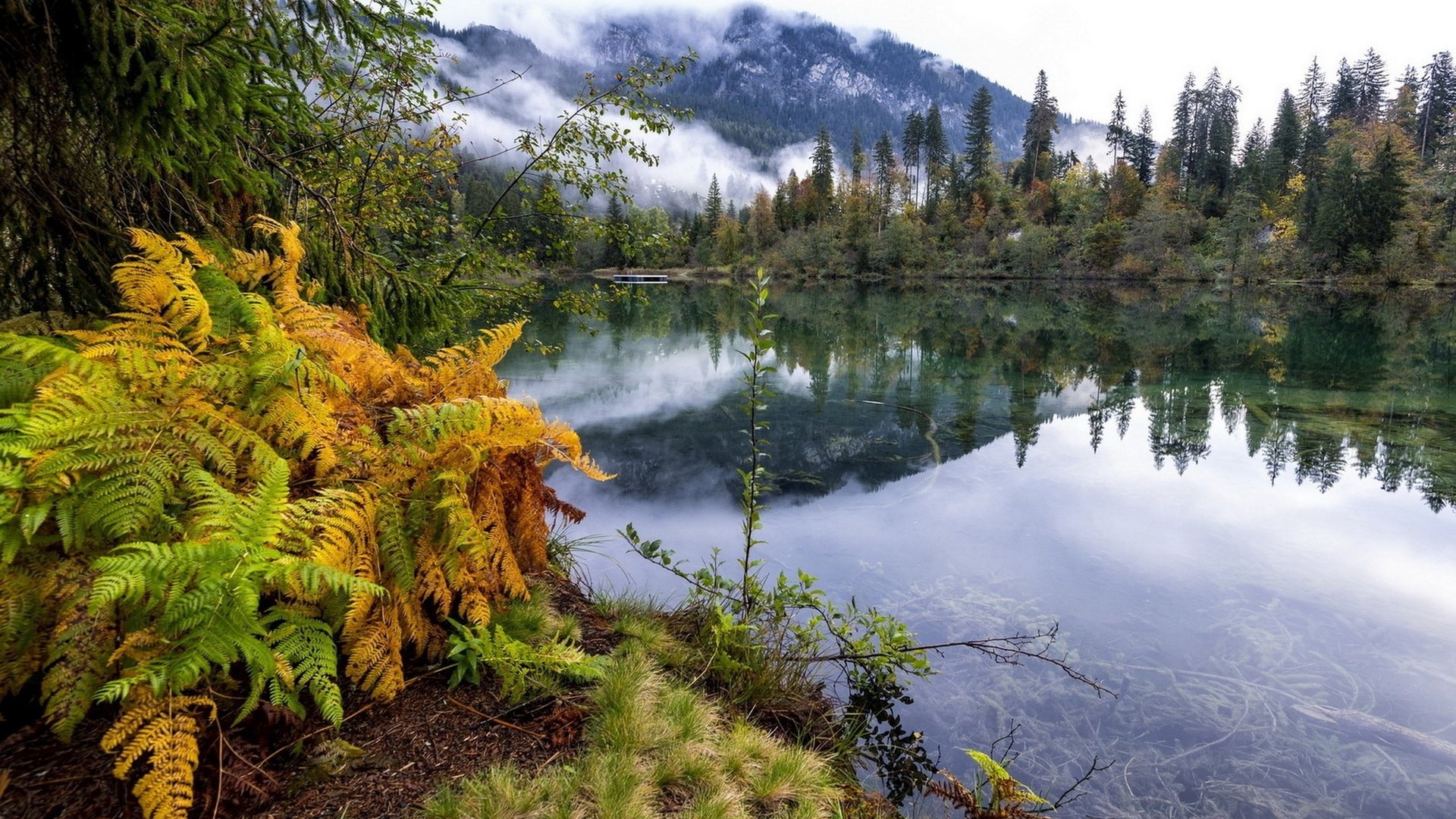 Обои река, горы, природа, лес, отражение, осень, папоротник, river, mountains, nature, forest, reflection, autumn, fern разрешение 2560x1600 Загрузить