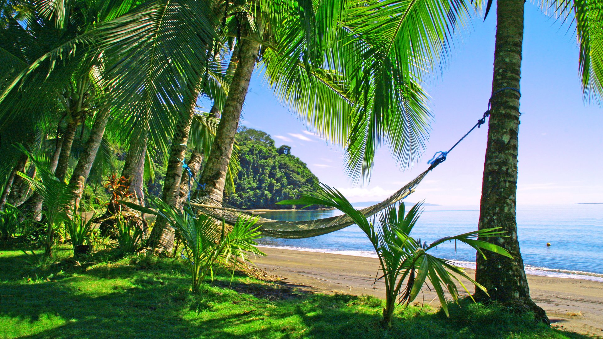 Обои море, пляж, отдых, гамак, тропики, sea, beach, stay, hammock, tropics разрешение 3545x2397 Загрузить
