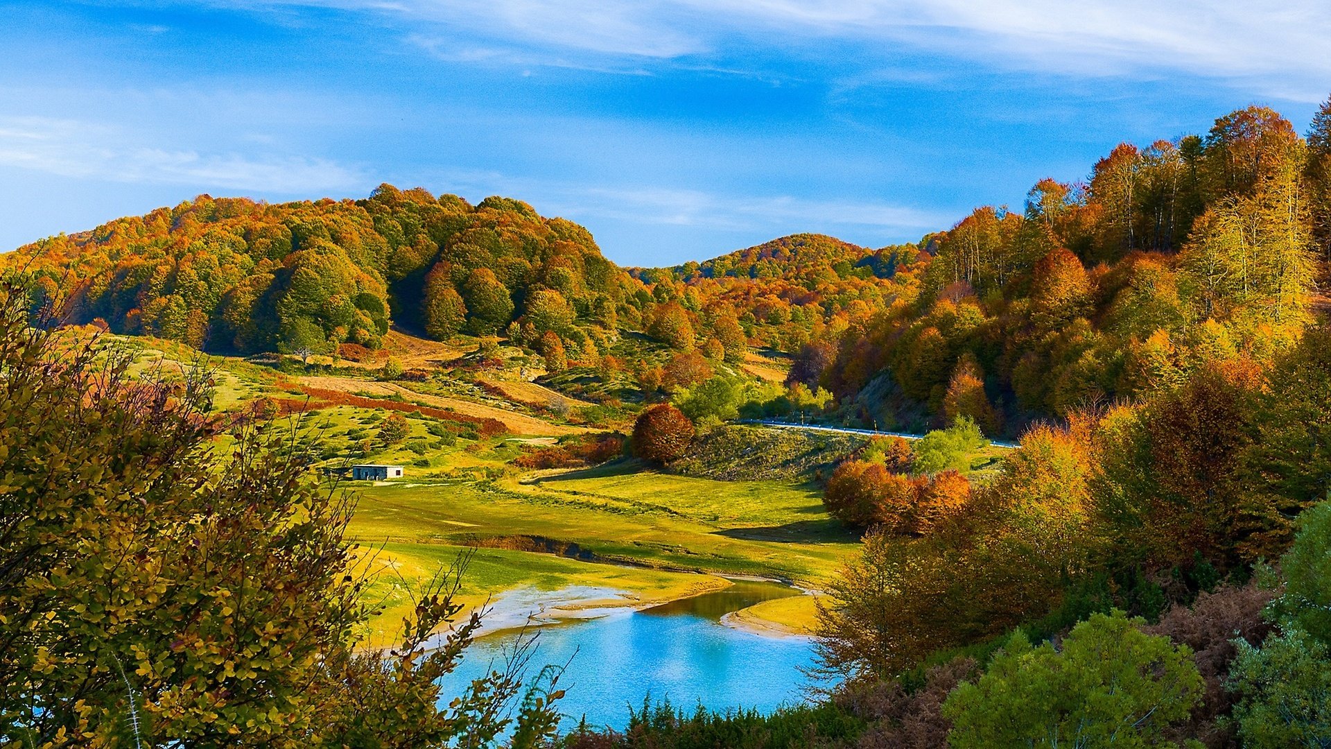 Обои красивый осенний лес на холмах, beautiful autumn forest in the hills разрешение 2560x1440 Загрузить