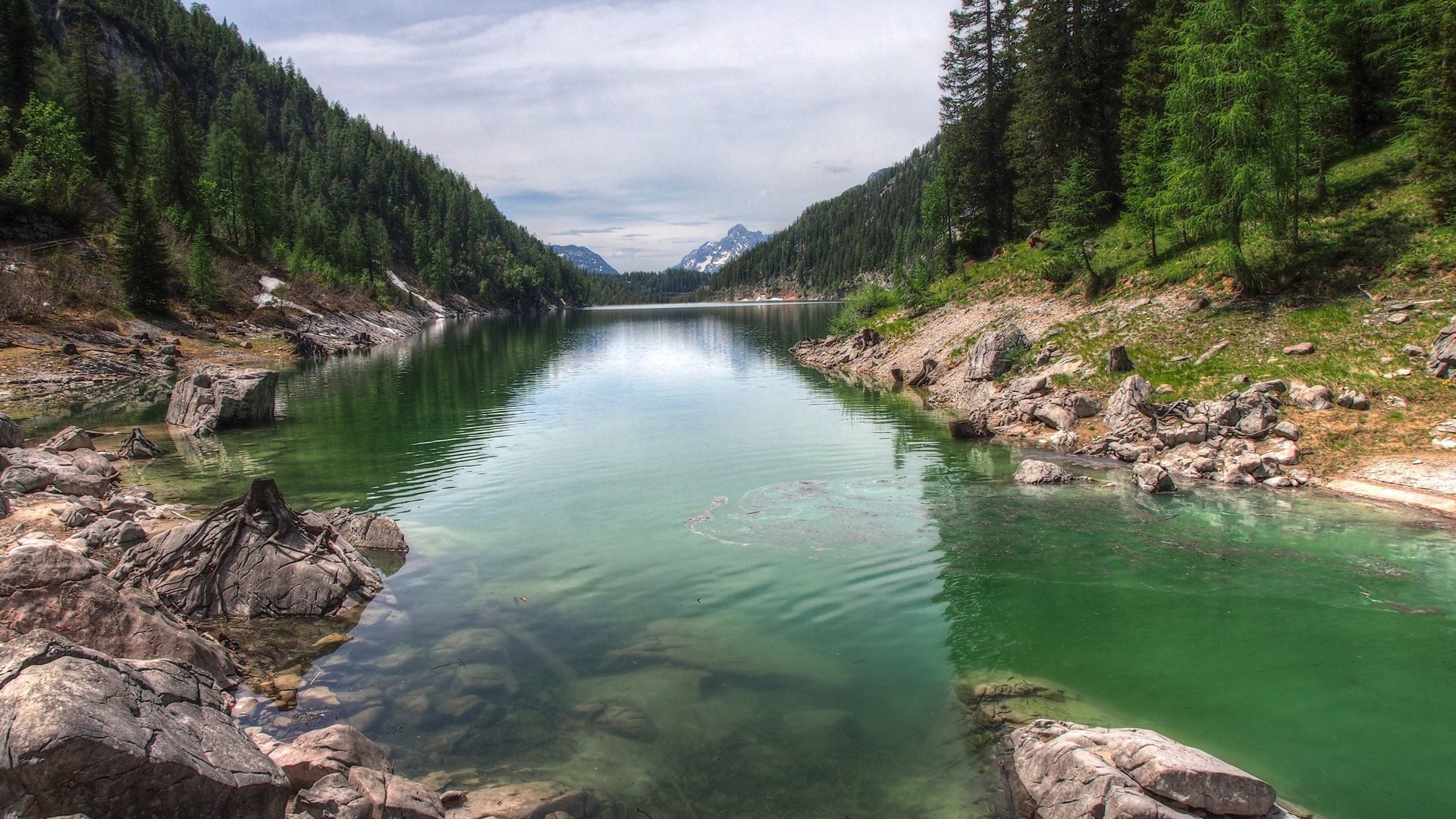 Обои небо, деревья, озеро, горы, лес, ель, the sky, trees, lake, mountains, forest, spruce разрешение 2560x1600 Загрузить