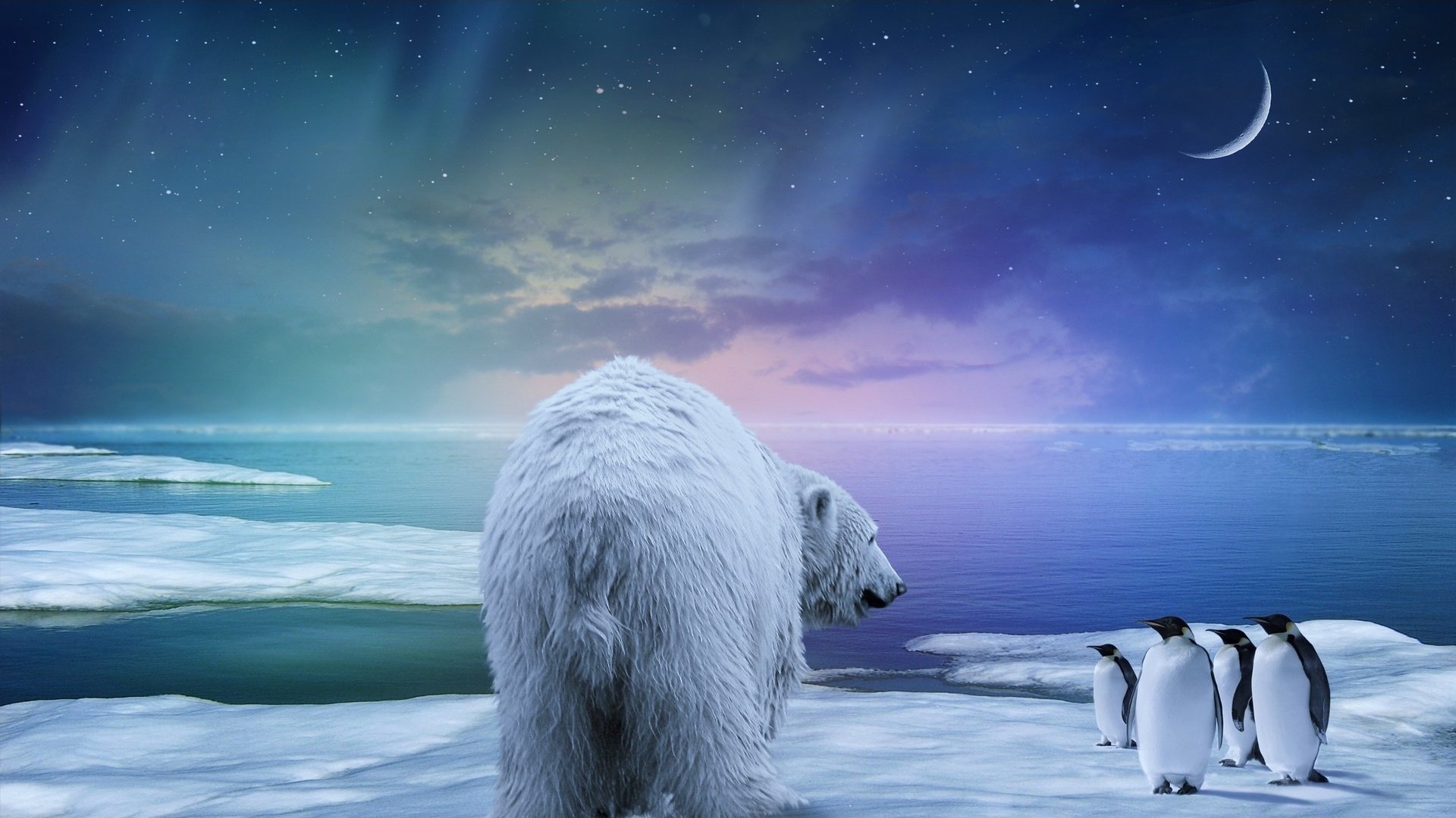 Обои сияние, медведь, белый, заяц, пингвины, 3д, lights, bear, white, hare, penguins, 3d разрешение 2560x1440 Загрузить