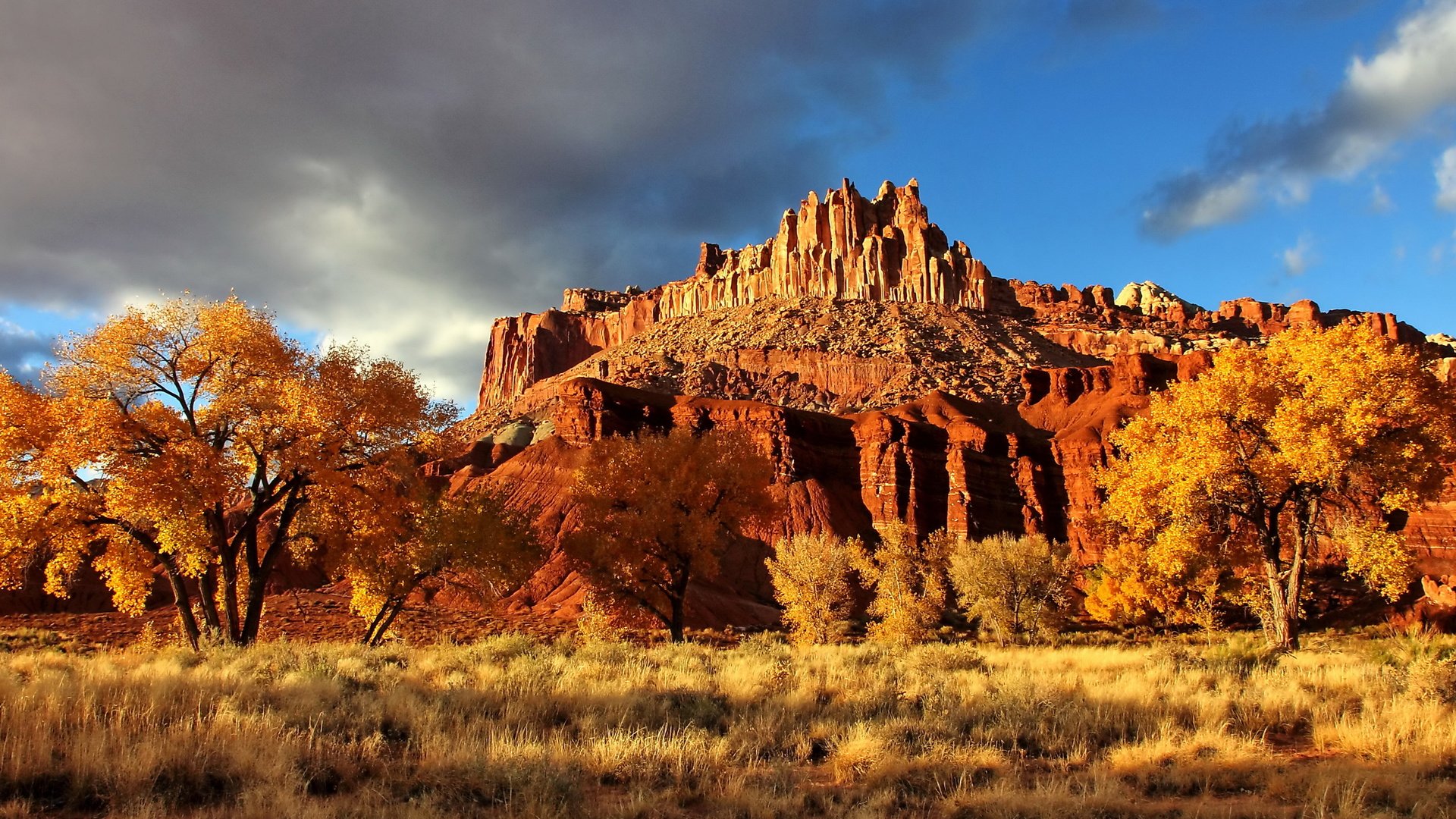 Обои скала, осень, каньон, сша, национальный парк, капитол-риф, capitol reef national park, осенний пейзаж, rock, autumn, canyon, usa, national park, capitol reef разрешение 2560x1600 Загрузить