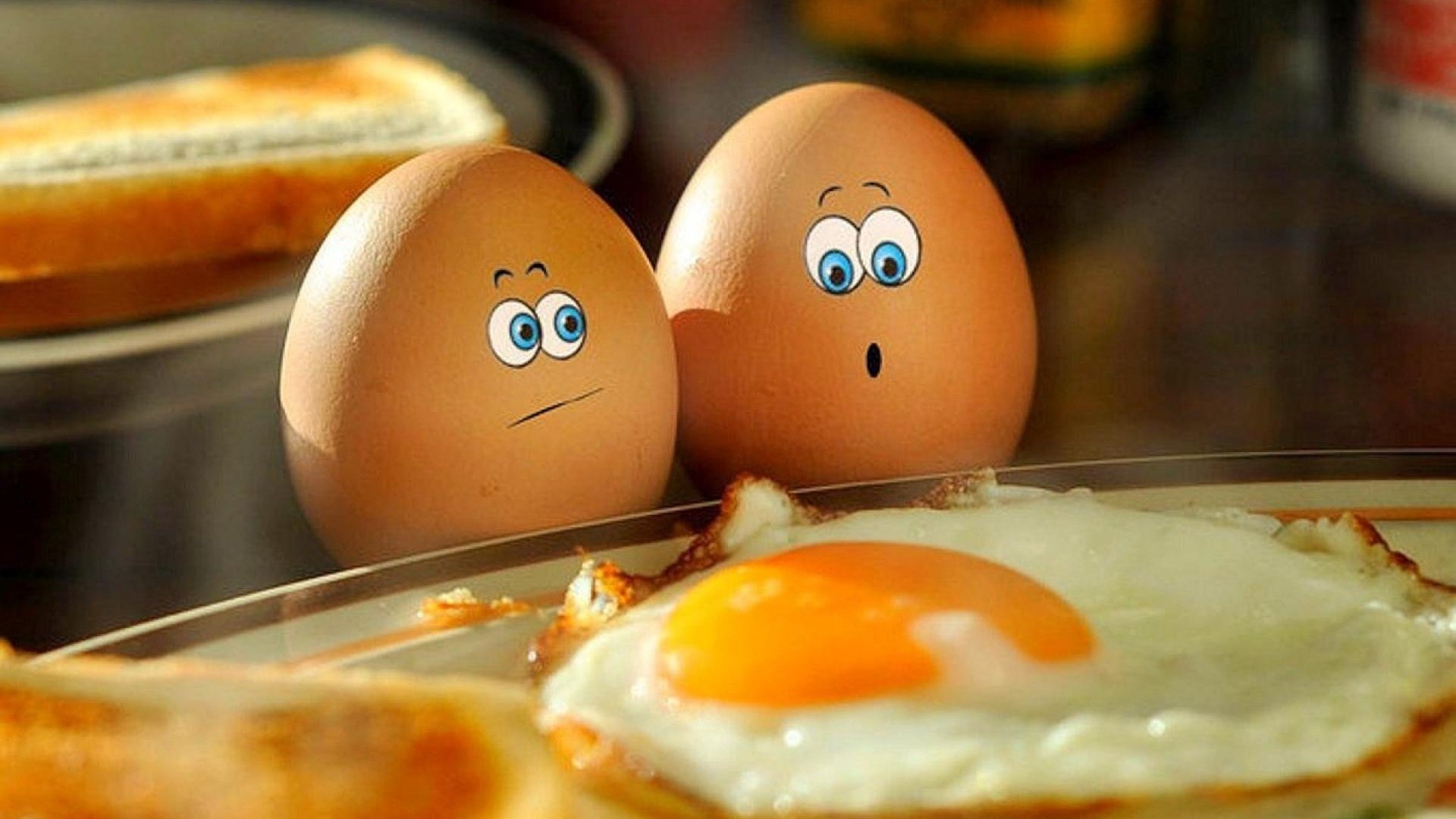 Обои яйца, печаль, ужас, яичница, eggs, sadness, horror, scrambled eggs разрешение 1920x1200 Загрузить