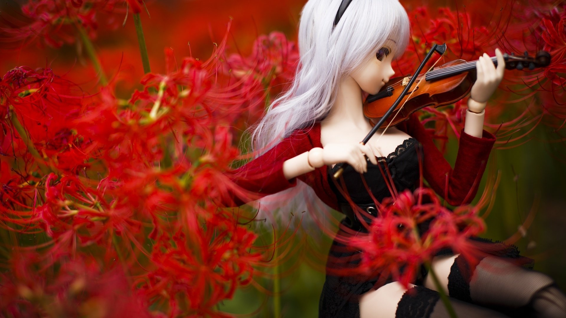 Обои цветы, скрипка, кукла, flowers, violin, doll разрешение 3200x2133 Загрузить