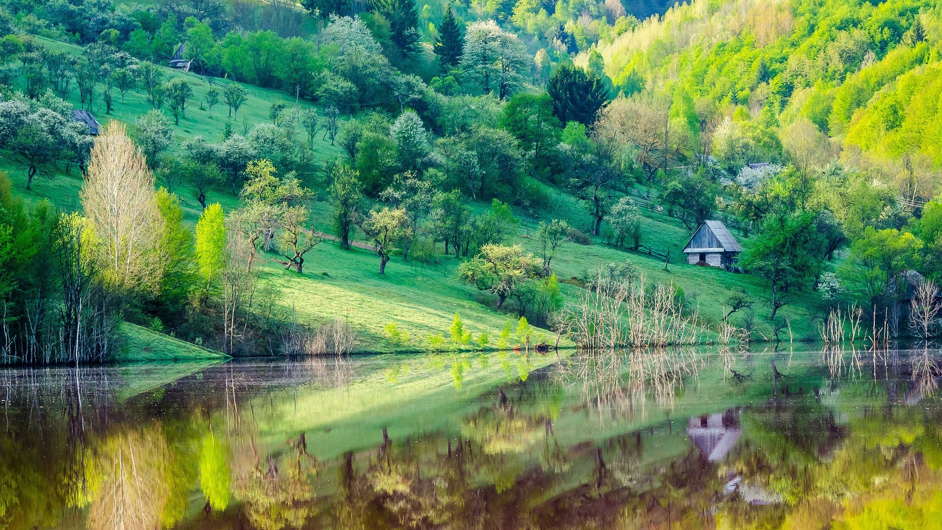 Обои деревья, озеро, отражение, склон, гора, дома, весна, trees, lake, reflection, slope, mountain, home, spring разрешение 1920x1200 Загрузить