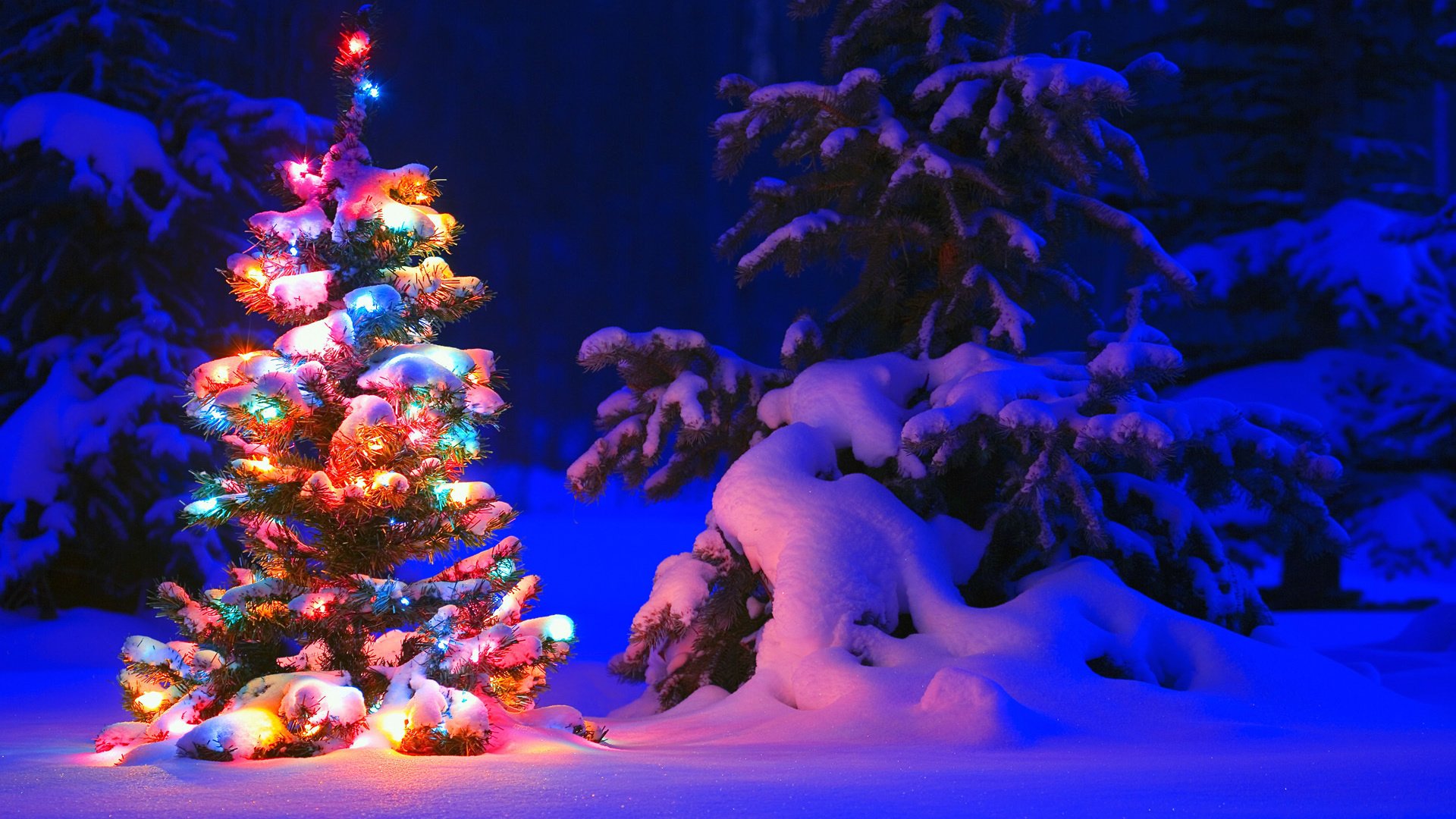 Обои снег, природа, елка, зима, красиво, snow, nature, tree, winter, beautiful разрешение 1920x1200 Загрузить