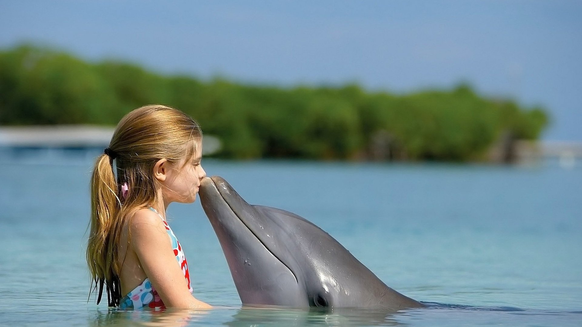 Обои девочка, дружба, дельфин, girl, friendship, dolphin разрешение 2560x1600 Загрузить
