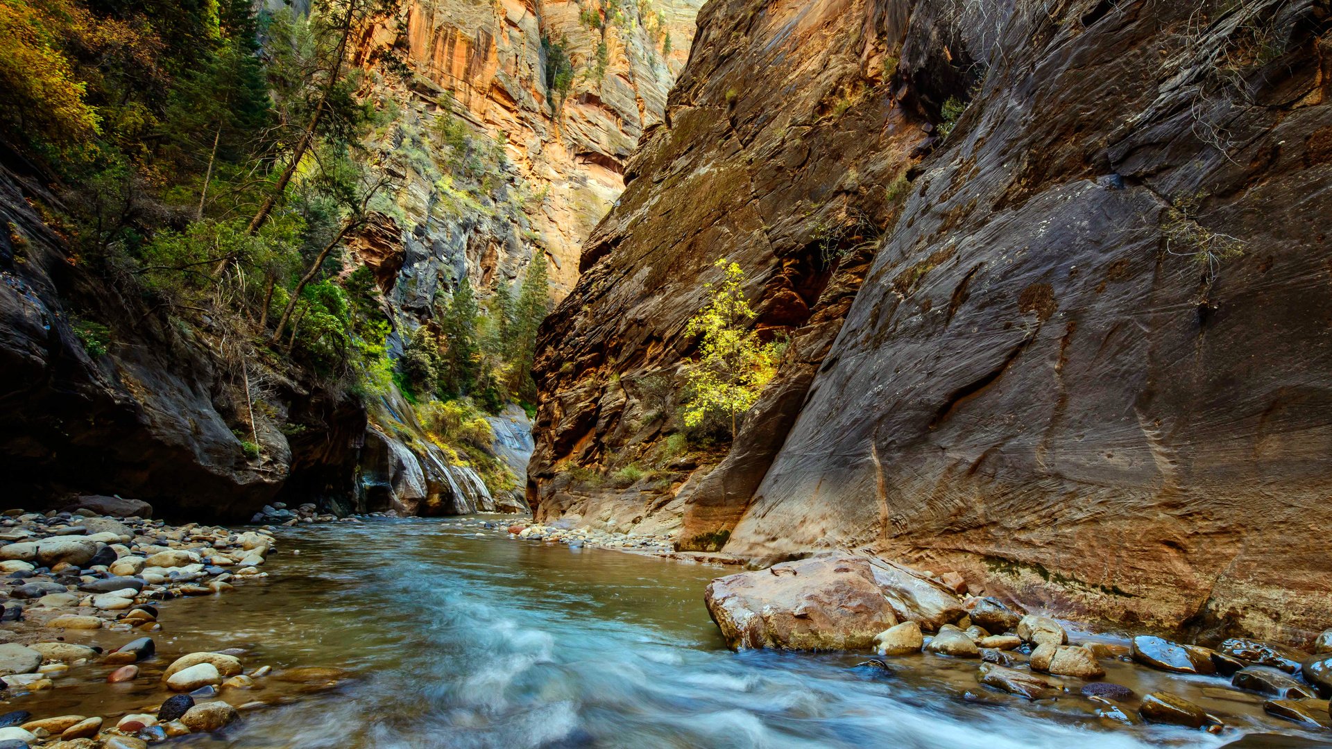 Обои река, скалы, ущелье, zion national park, river, rocks, gorge разрешение 6393x4751 Загрузить