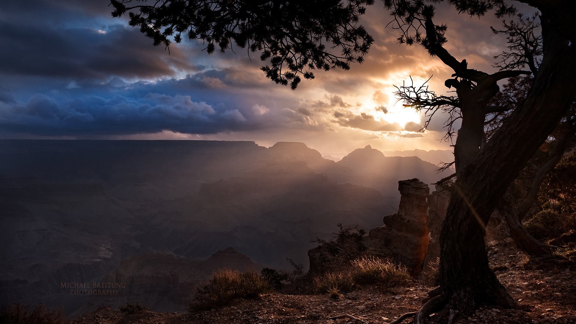 Обои дерево, тучи, лучи солнца, аризона, гранд каньон, tree, clouds, the rays of the sun, az, the grand canyon разрешение 1920x1200 Загрузить