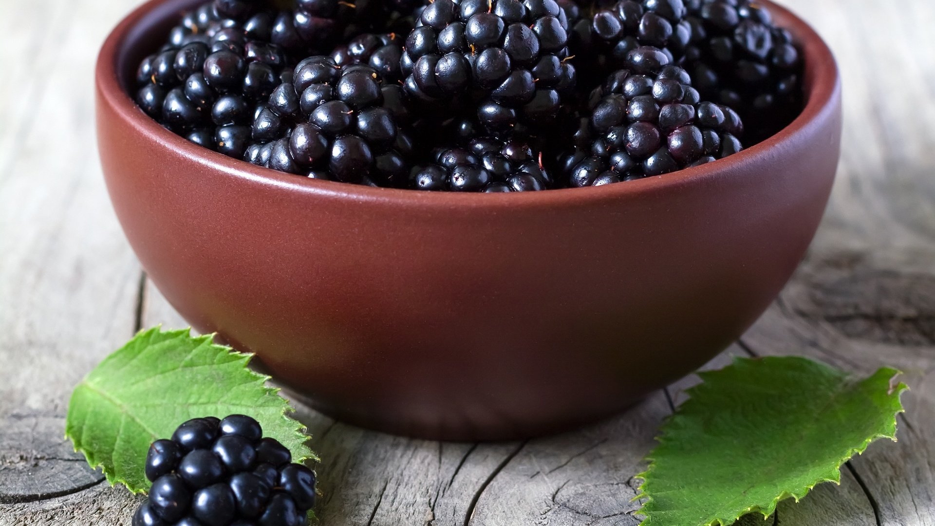 Обои ягода, листики, ежевика, миска, berry, leaves, blackberry, bowl разрешение 2911x2797 Загрузить