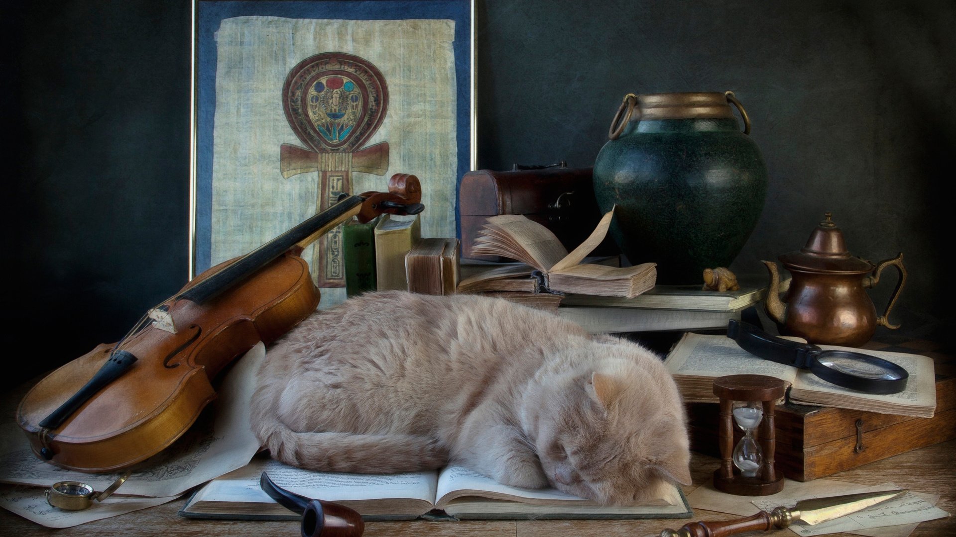 Обои скрипка, кошка, сон, трубка, книга, violin, cat, sleep, tube, book разрешение 1920x1200 Загрузить