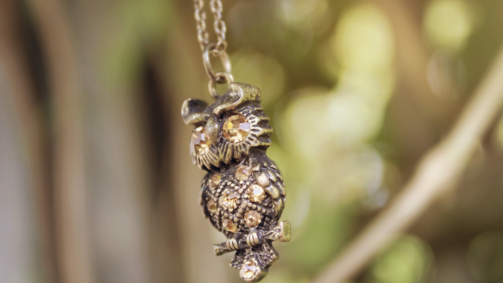 Обои сова, украшение, цепочка, подвеска, owl, decoration, chain, suspension разрешение 5184x3456 Загрузить