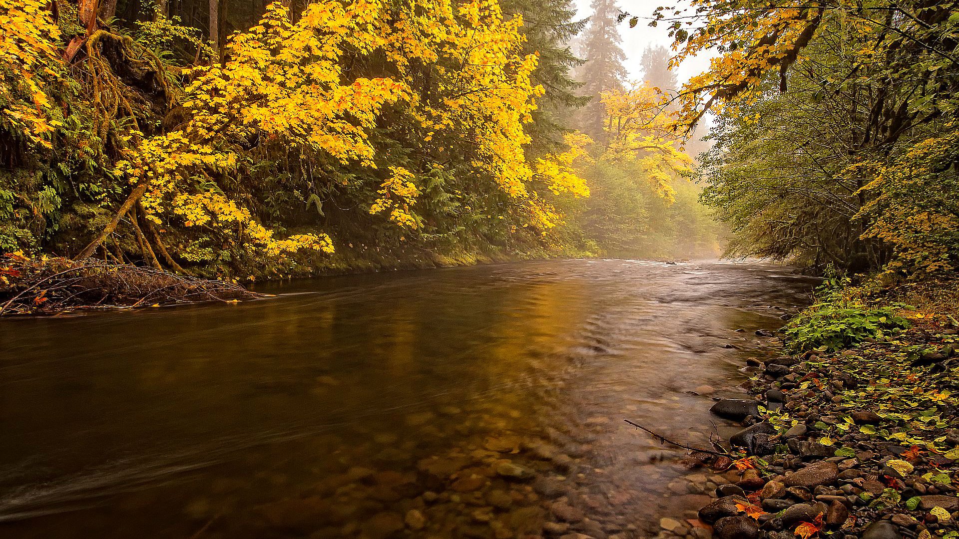 Обои деревья, река, пейзаж, осень, trees, river, landscape, autumn разрешение 1920x1536 Загрузить