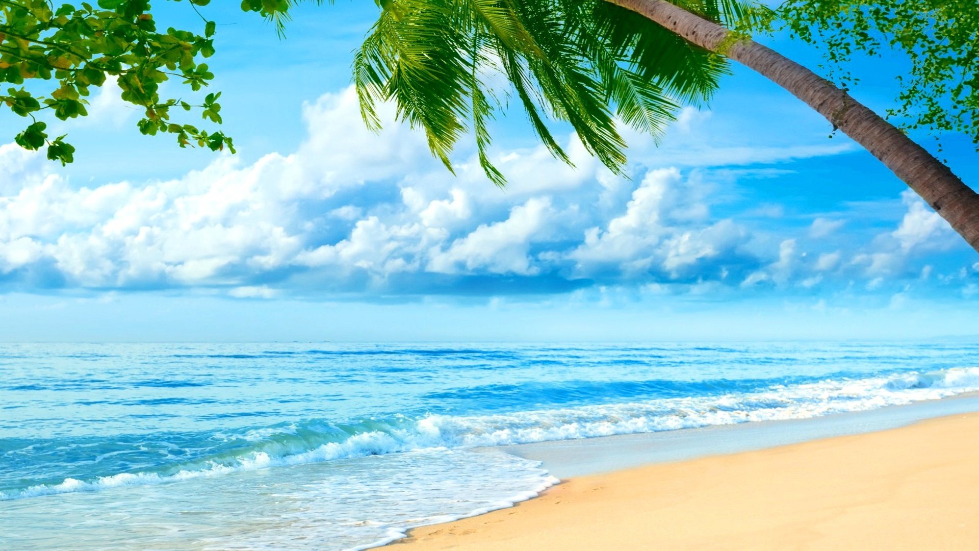 Обои небо, пляж, пальмы, море.берег, the sky, beach, palm trees, sea.shore разрешение 1920x1200 Загрузить