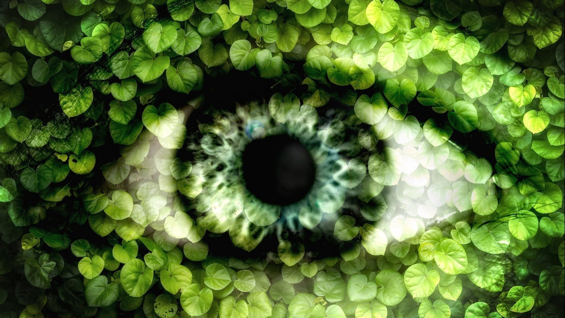 Обои зелень, листья, стиль, взгляд, фэнтези, глаз, зрачок, greens, leaves, style, look, fantasy, eyes, the pupil разрешение 2048x1367 Загрузить