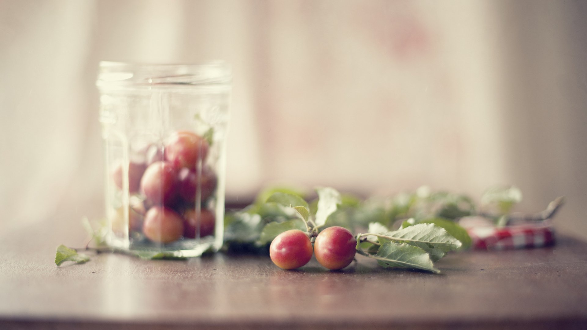 Обои листья, стол, банка, алыча, слива, leaves, table, bank, plum, drain разрешение 2048x1365 Загрузить