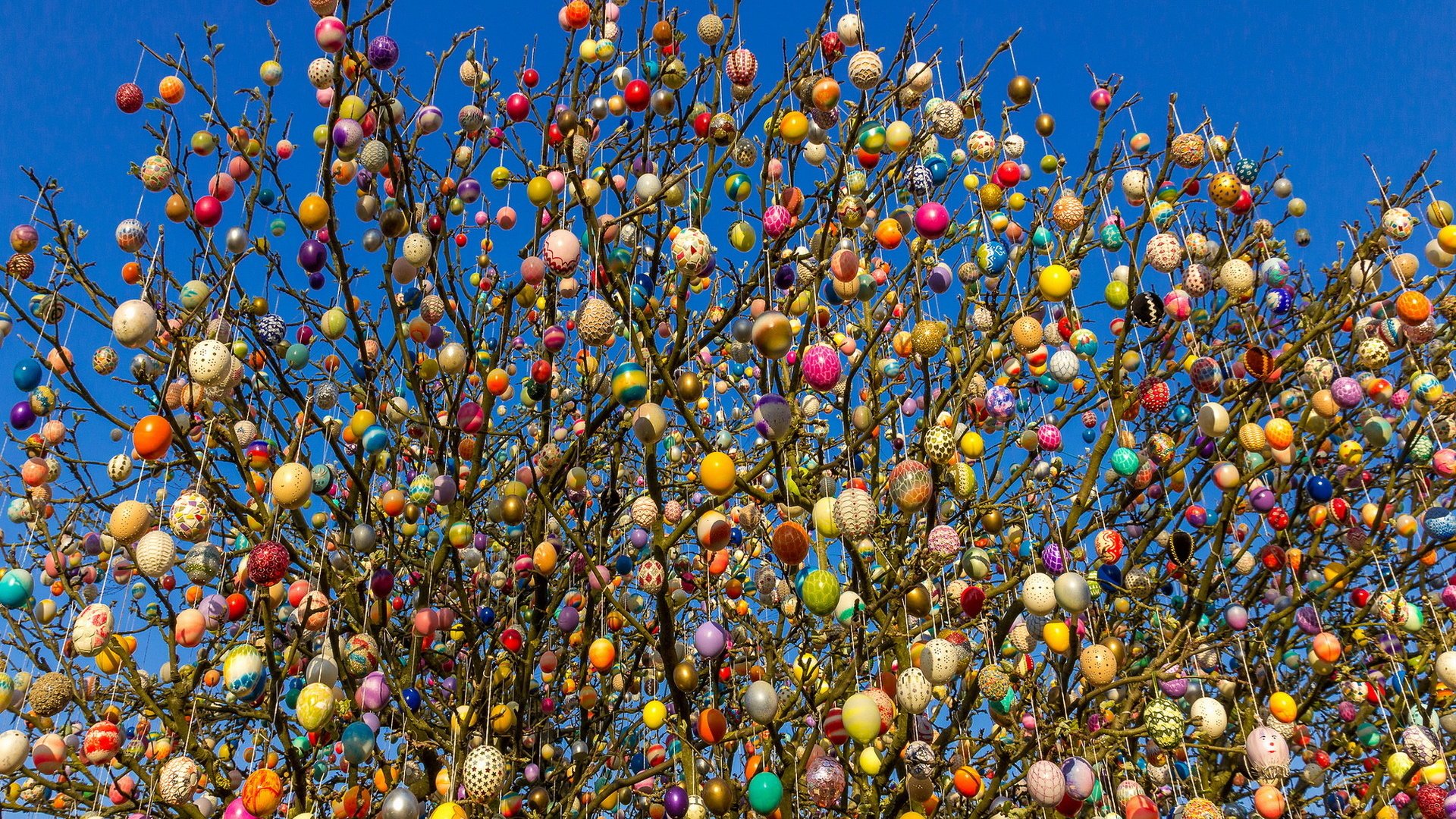 Обои небо, дерево, весна, пасха, яйца, the sky, tree, spring, easter, eggs разрешение 1920x1200 Загрузить