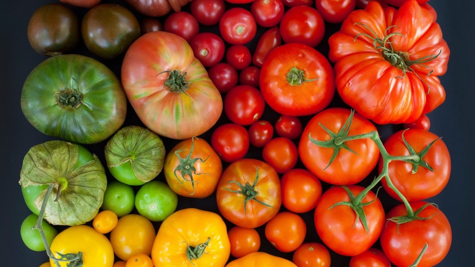 Обои разноцветные, урожай, овощи, помидоры, томаты, colorful, harvest, vegetables, tomatoes разрешение 1920x1771 Загрузить