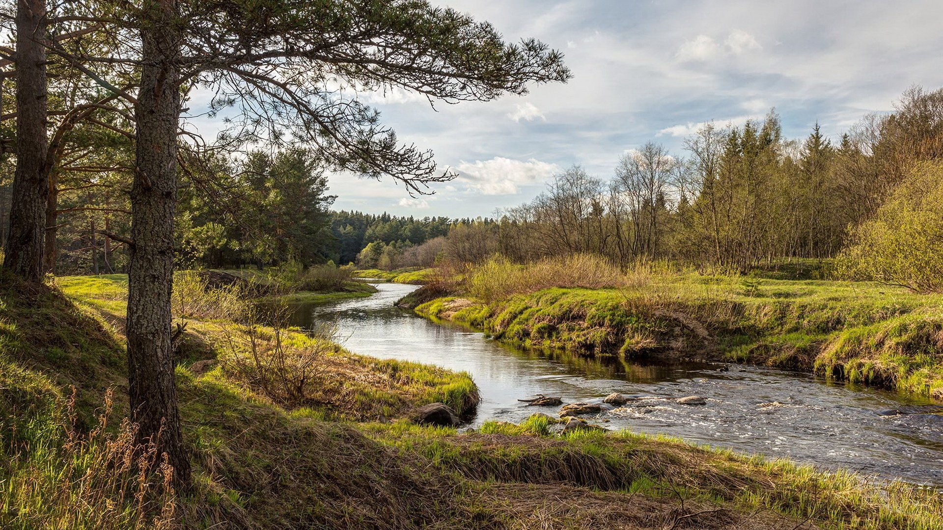 Обои река, природа, лес, river, nature, forest разрешение 1920x1200 Загрузить