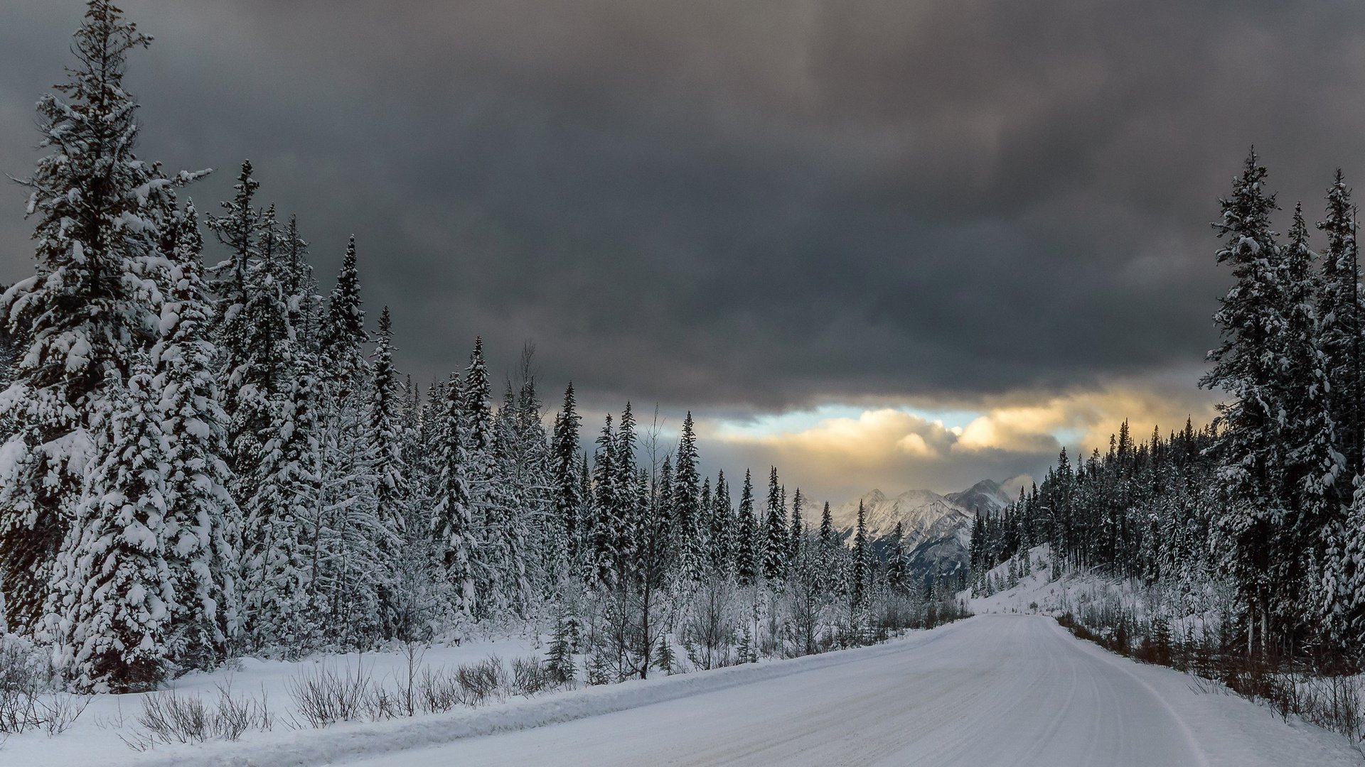 Обои дорога, горы, снег, лес, тучи, ели, road, mountains, snow, forest, clouds, ate разрешение 1920x1200 Загрузить