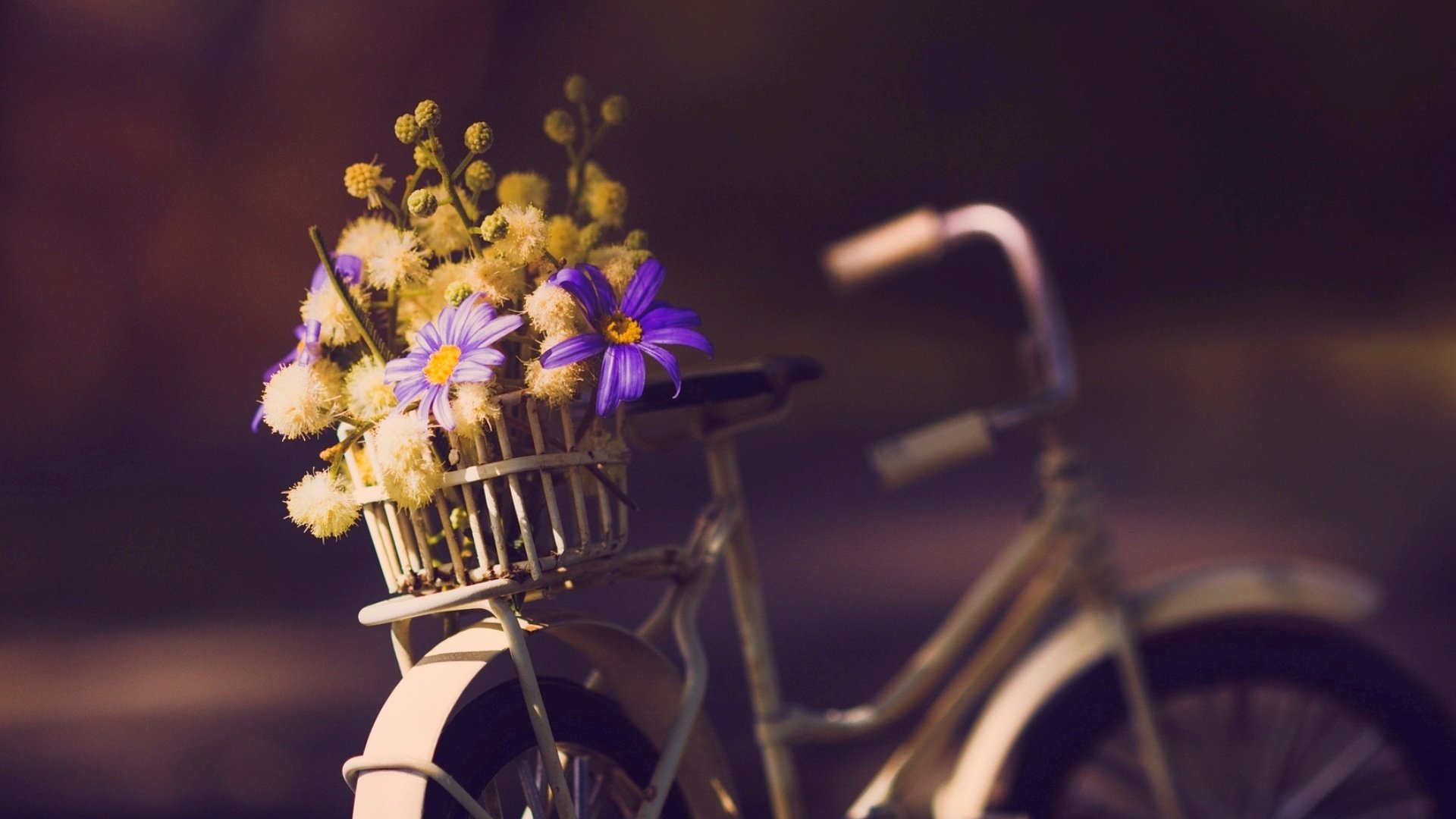 Обои цветы, фон, велосипед, flowers, background, bike разрешение 1924x1253 Загрузить