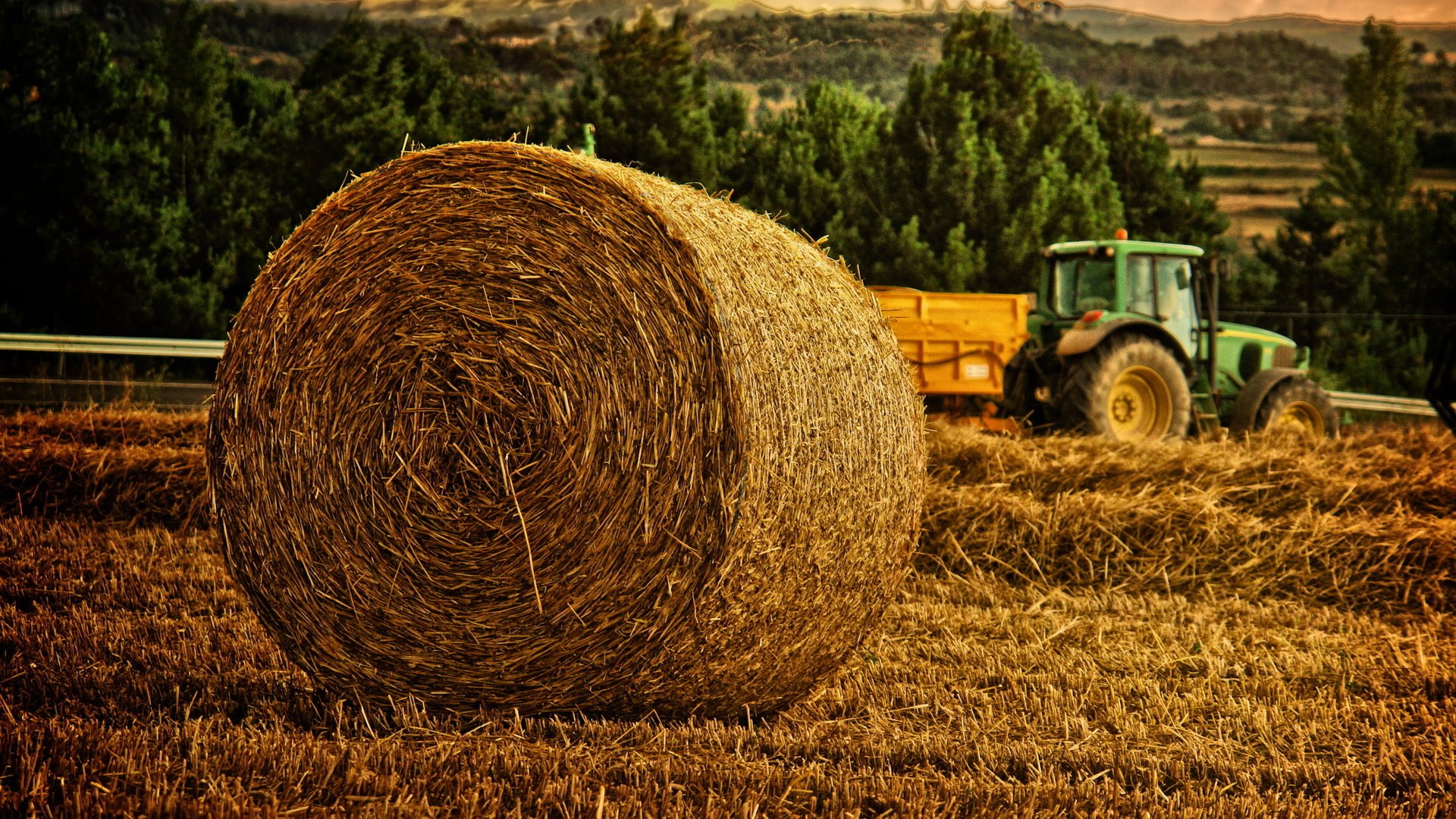 Обои деревья, природа, поле, сено, луг, трактор, сенокос, trees, nature, field, hay, meadow, tractor разрешение 2400x1600 Загрузить