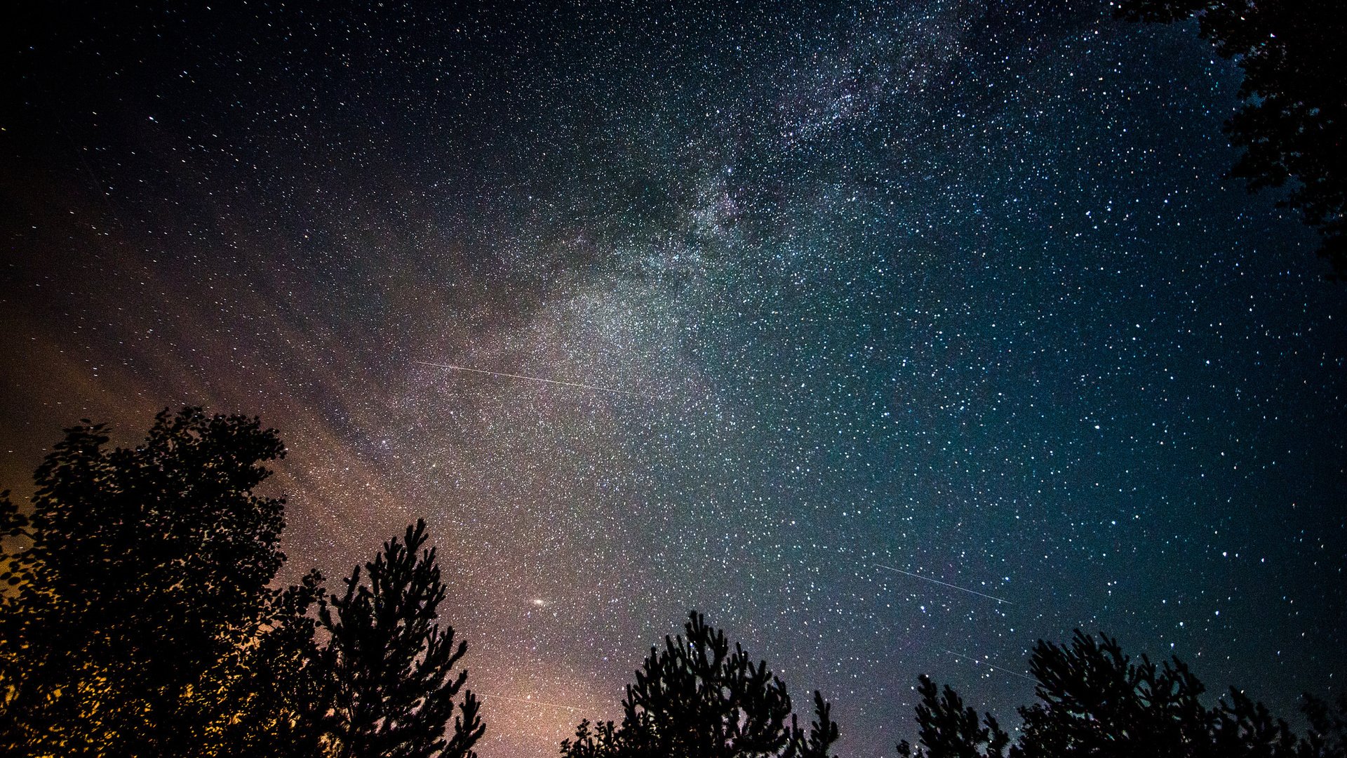 Обои ночь, деревья, космос, звезды, млечный путь, night, trees, space, stars, the milky way разрешение 2048x1367 Загрузить