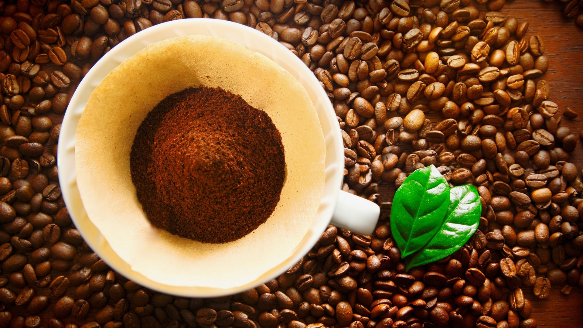 Обои кофе, чашка, кофейные зерна, кубок, бобы, coffee, cup, coffee beans, beans разрешение 2880x1920 Загрузить