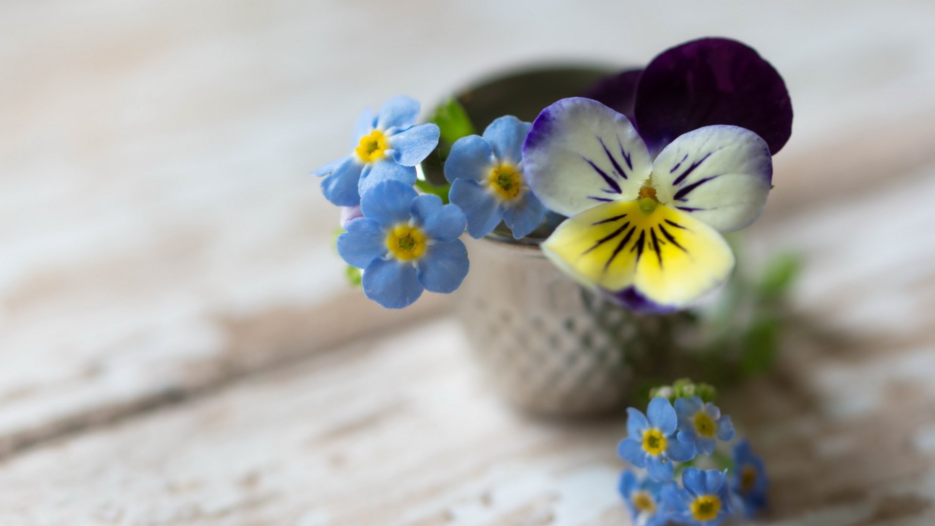 Обои цветы, фон, букет, незабудки, анютины глазки, flowers, background, bouquet, forget-me-nots, pansy разрешение 2560x1600 Загрузить