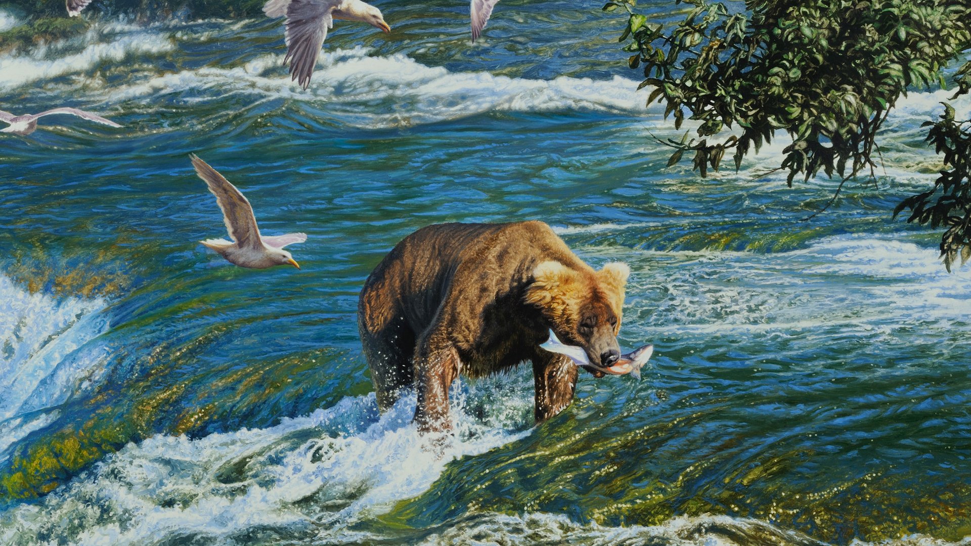 Обои рисунок, река, медведь, чайки, рыба, figure, river, bear, seagulls, fish разрешение 2048x1396 Загрузить