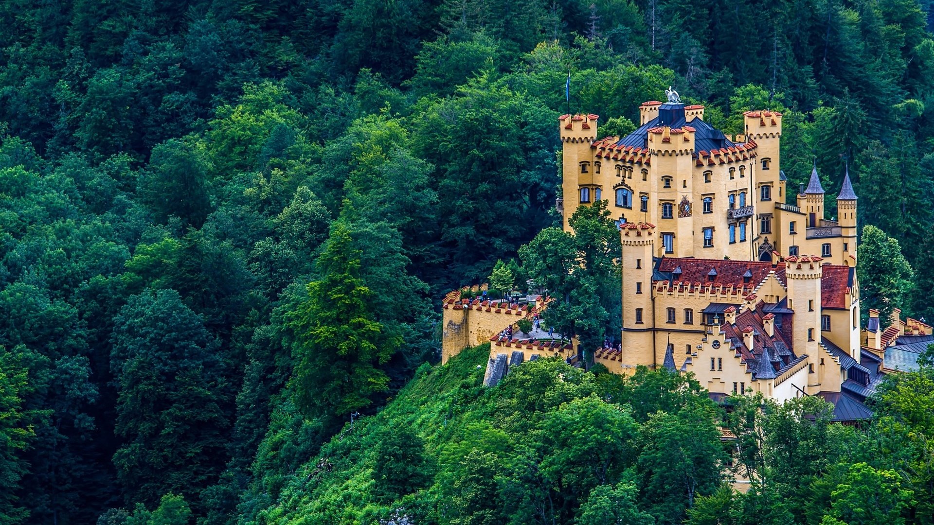 Обои лес, замок, германия, бавария, хоэншвангау, красочная, forest, castle, germany, bayern, hohenschwangau, colorful разрешение 2560x1600 Загрузить