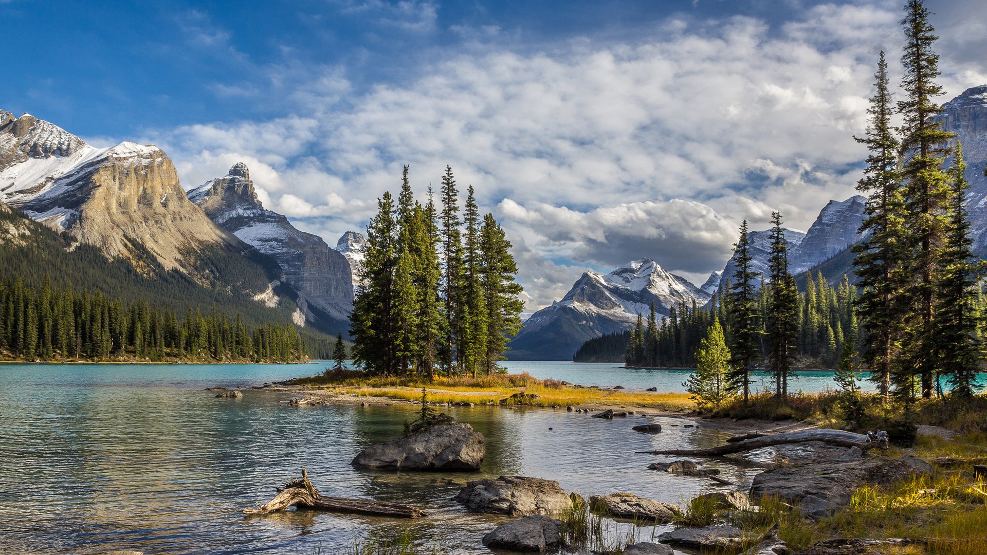 Обои деревья, озеро, пейзаж, национальный парк джаспер, maligne lake, trees, lake, landscape, jasper national park разрешение 3003x1805 Загрузить