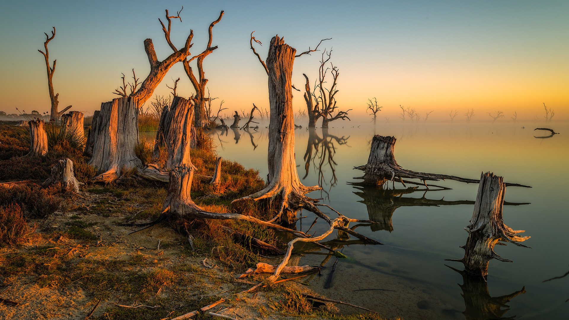 Обои деревья, озеро, утро, туман, trees, lake, morning, fog разрешение 2048x1536 Загрузить