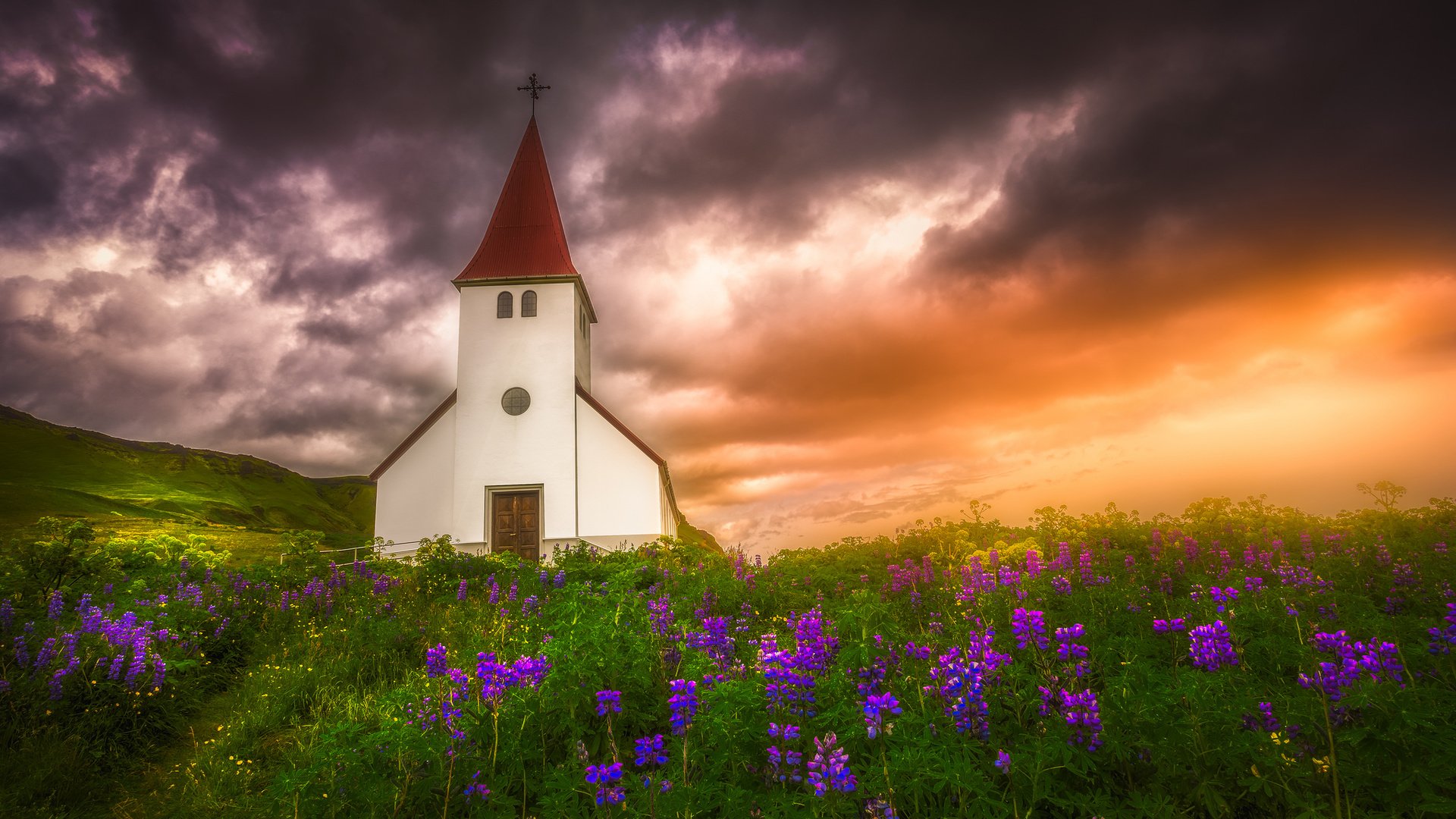 Обои цветы, закат, луг, церковь, исландия, люпины, flowers, sunset, meadow, church, iceland, lupins разрешение 2048x1365 Загрузить