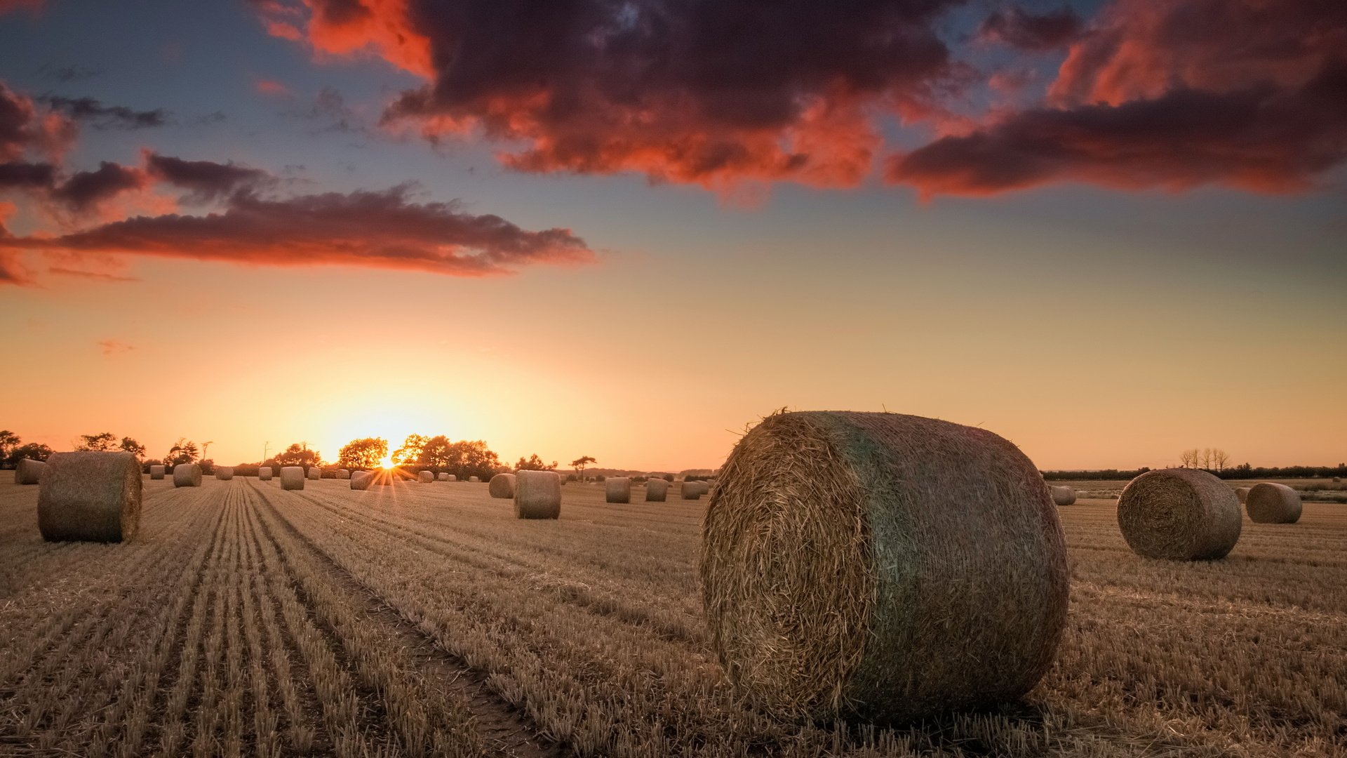 Обои небо, природа, закат, поле, сено, тюки, рулоны, the sky, nature, sunset, field, hay, bales, rolls разрешение 2560x1690 Загрузить