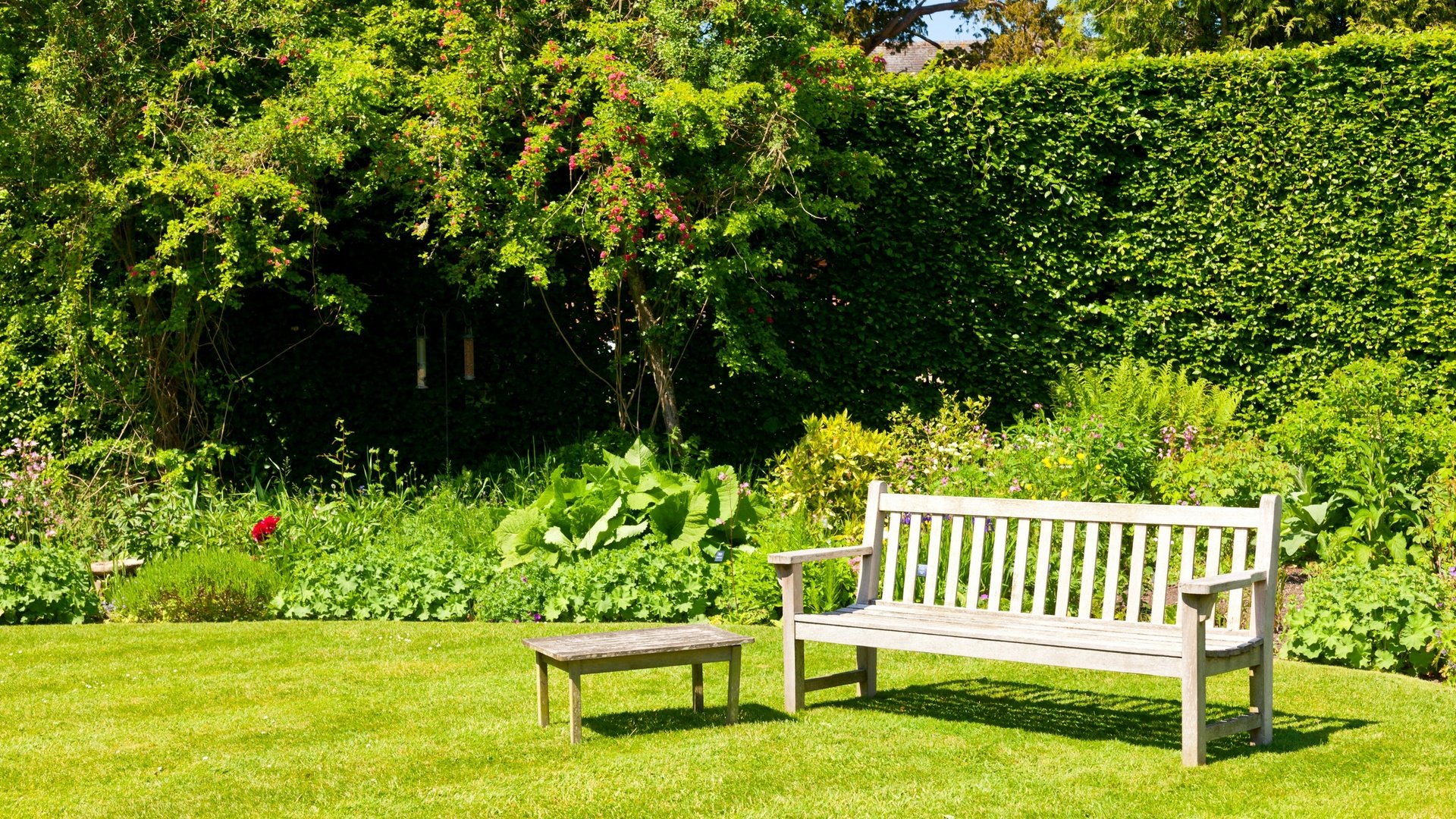 Обои трава, зелень, парк, кусты, скамейка, лавочка, лужайка, grass, greens, park, the bushes, bench, shop, lawn разрешение 2880x1921 Загрузить