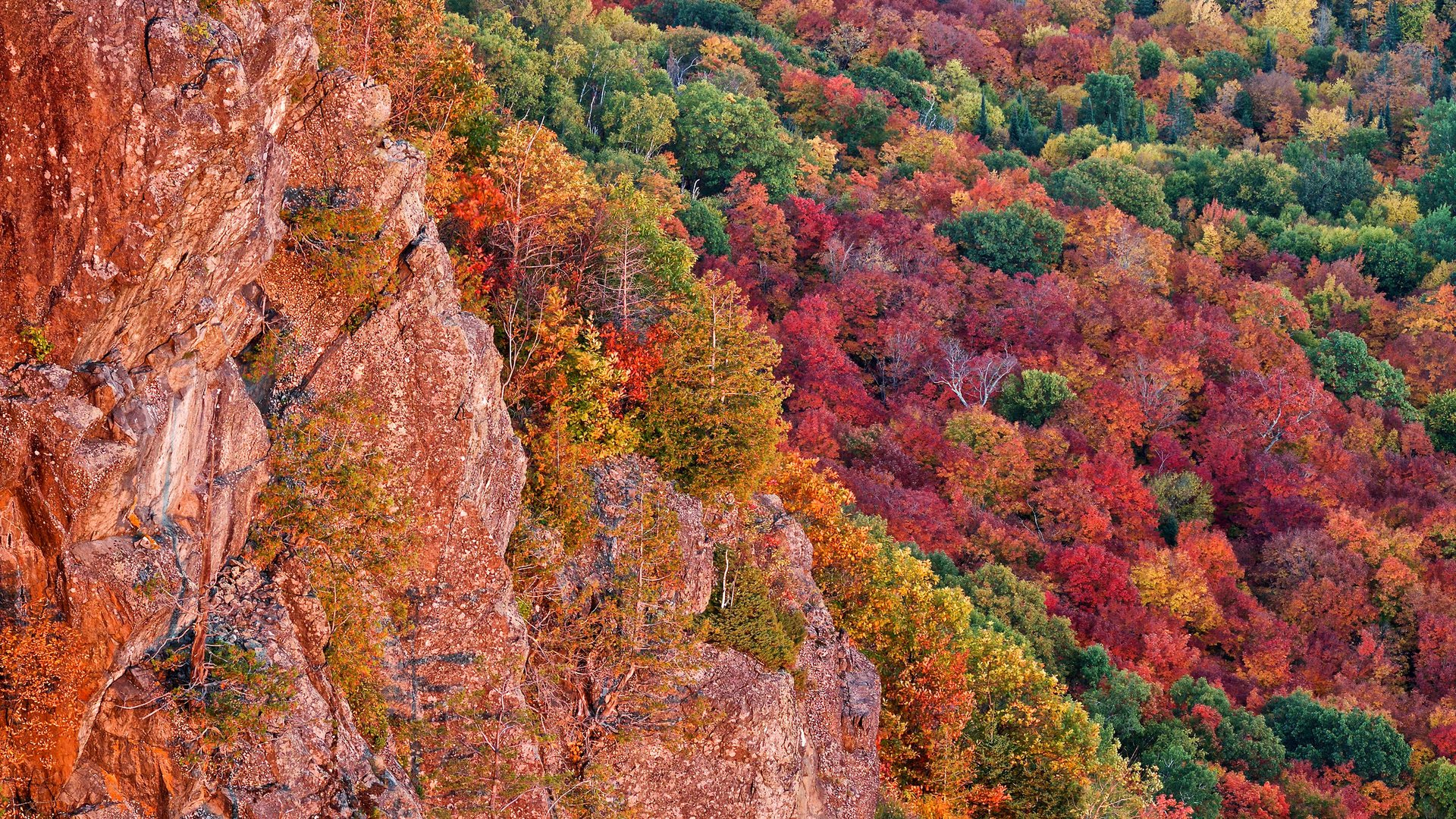 Обои деревья, скалы, лес, осень, сша, багрянец, мичиган, чиппева, trees, rocks, forest, autumn, usa, the crimson, michigan, chippewa разрешение 2048x1365 Загрузить