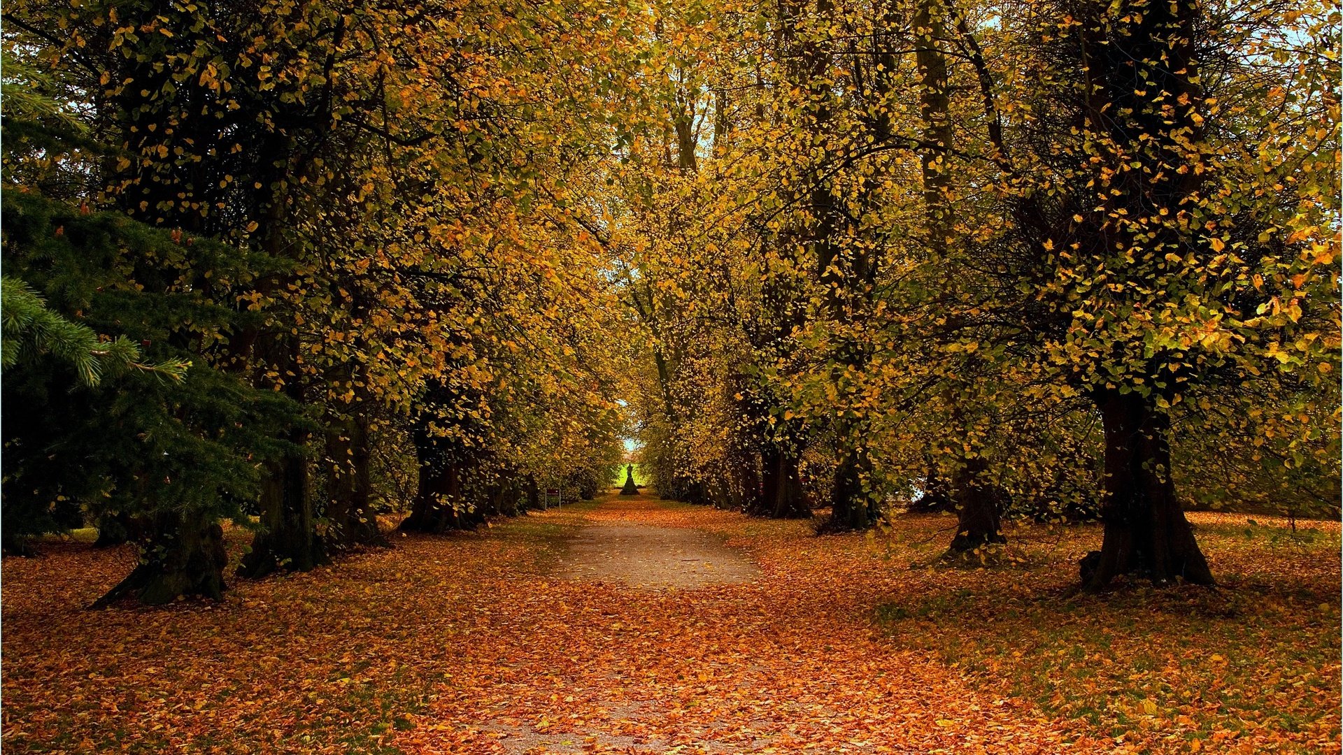 Обои дорога, деревья, пейзаж, парк, осень, road, trees, landscape, park, autumn разрешение 2880x1912 Загрузить