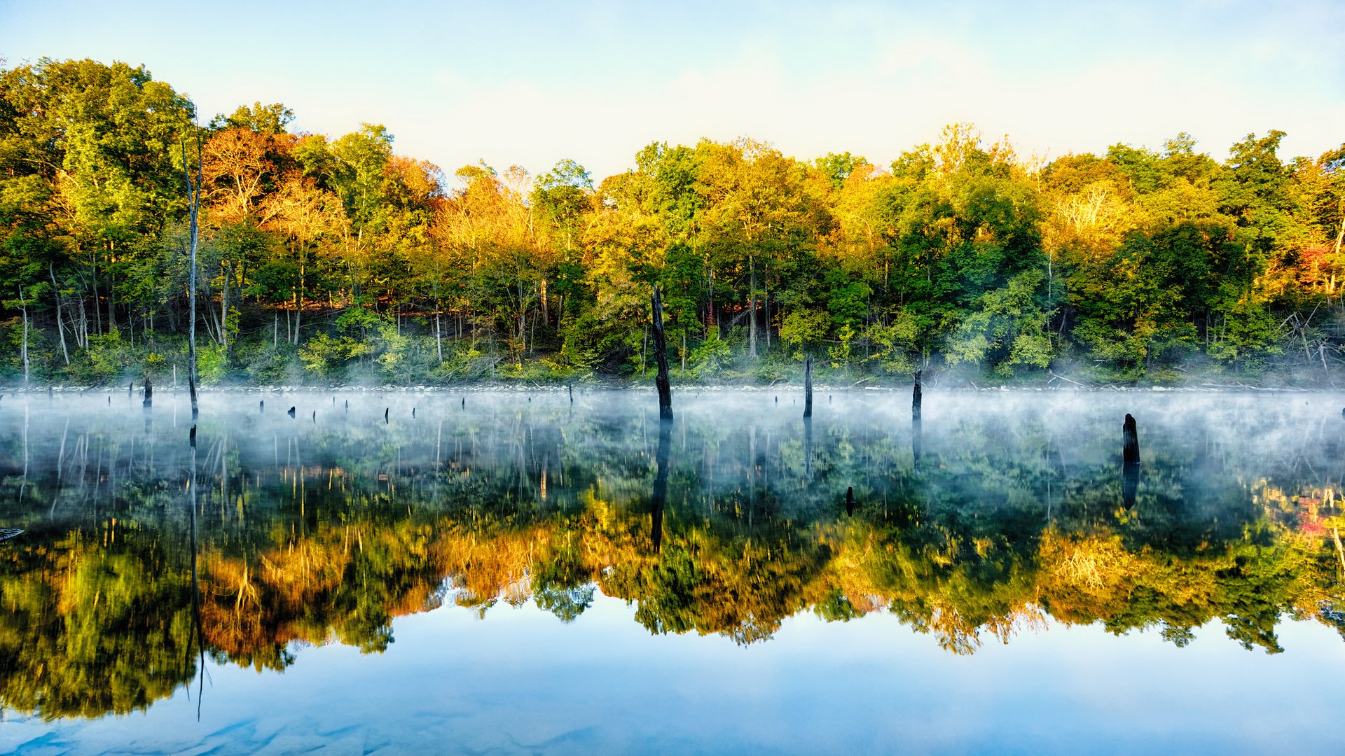 природа озеро деревья отражение бесплатно