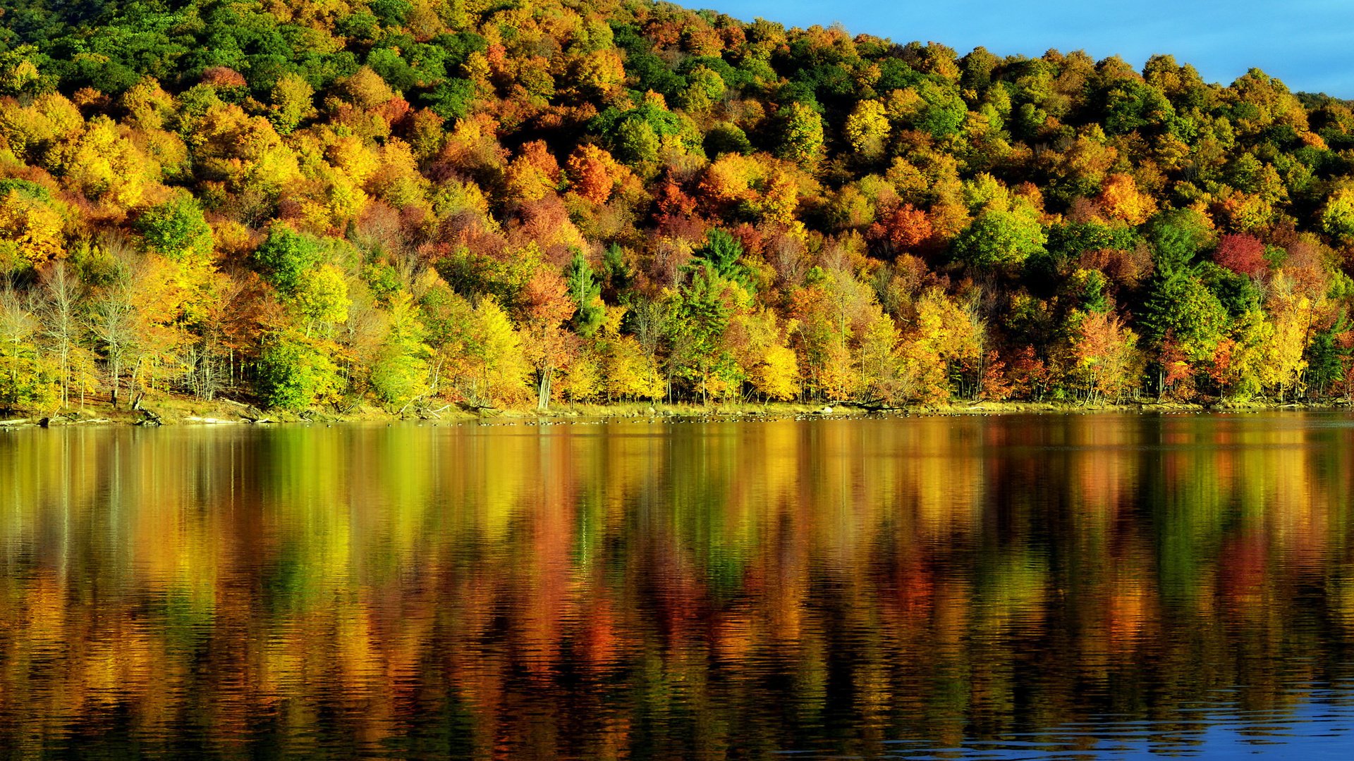 Обои деревья, вода, отражение, осень, красота, пейзаж. природа, время года, trees, water, reflection, autumn, beauty, landscape. nature, time of the year разрешение 2048x1356 Загрузить