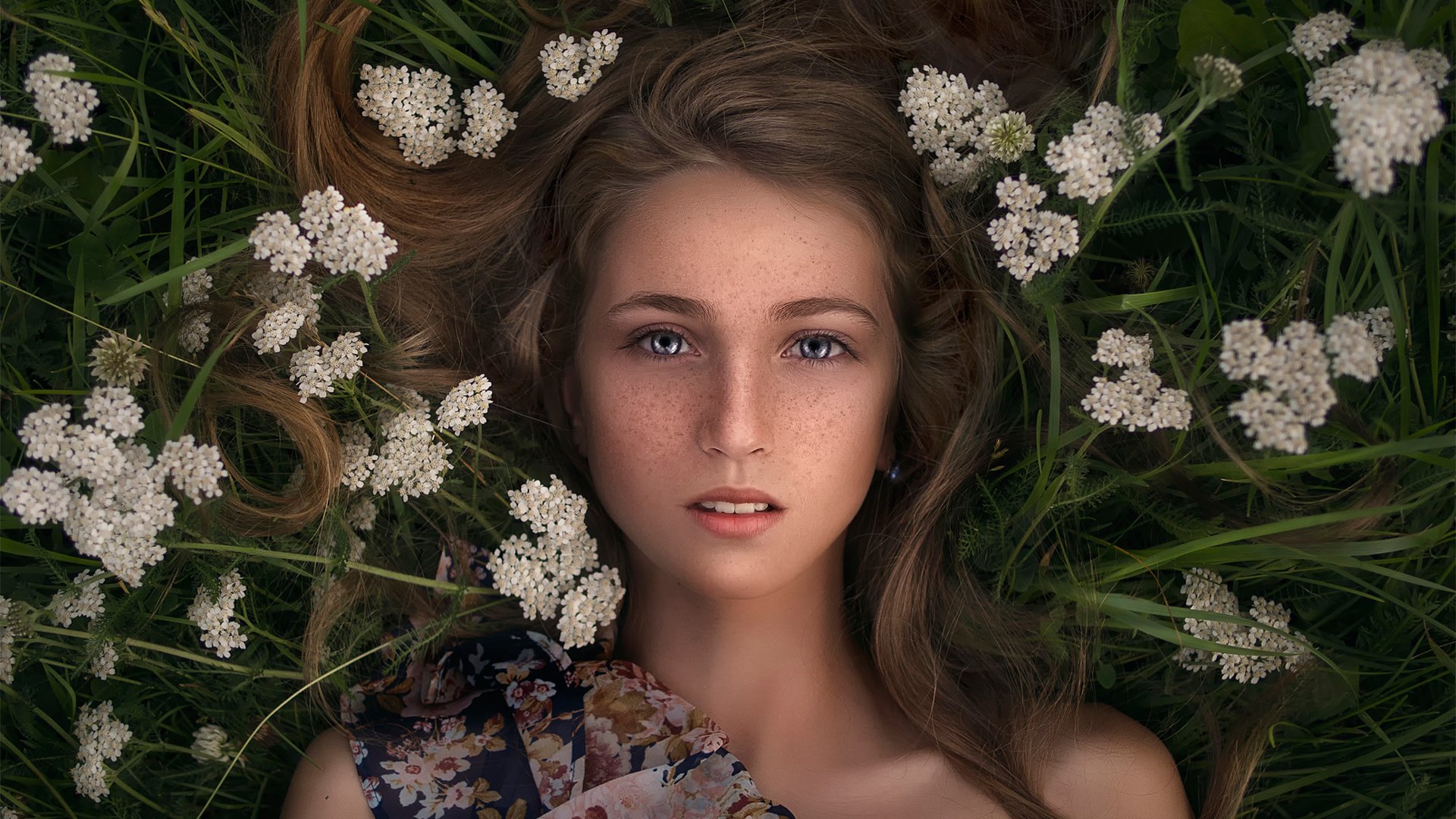 Обои цветы, трава, девушка, лежит, вгляд, веснушки, katie melman, flowers, grass, girl, lies, peer, freckles разрешение 2048x1504 Загрузить