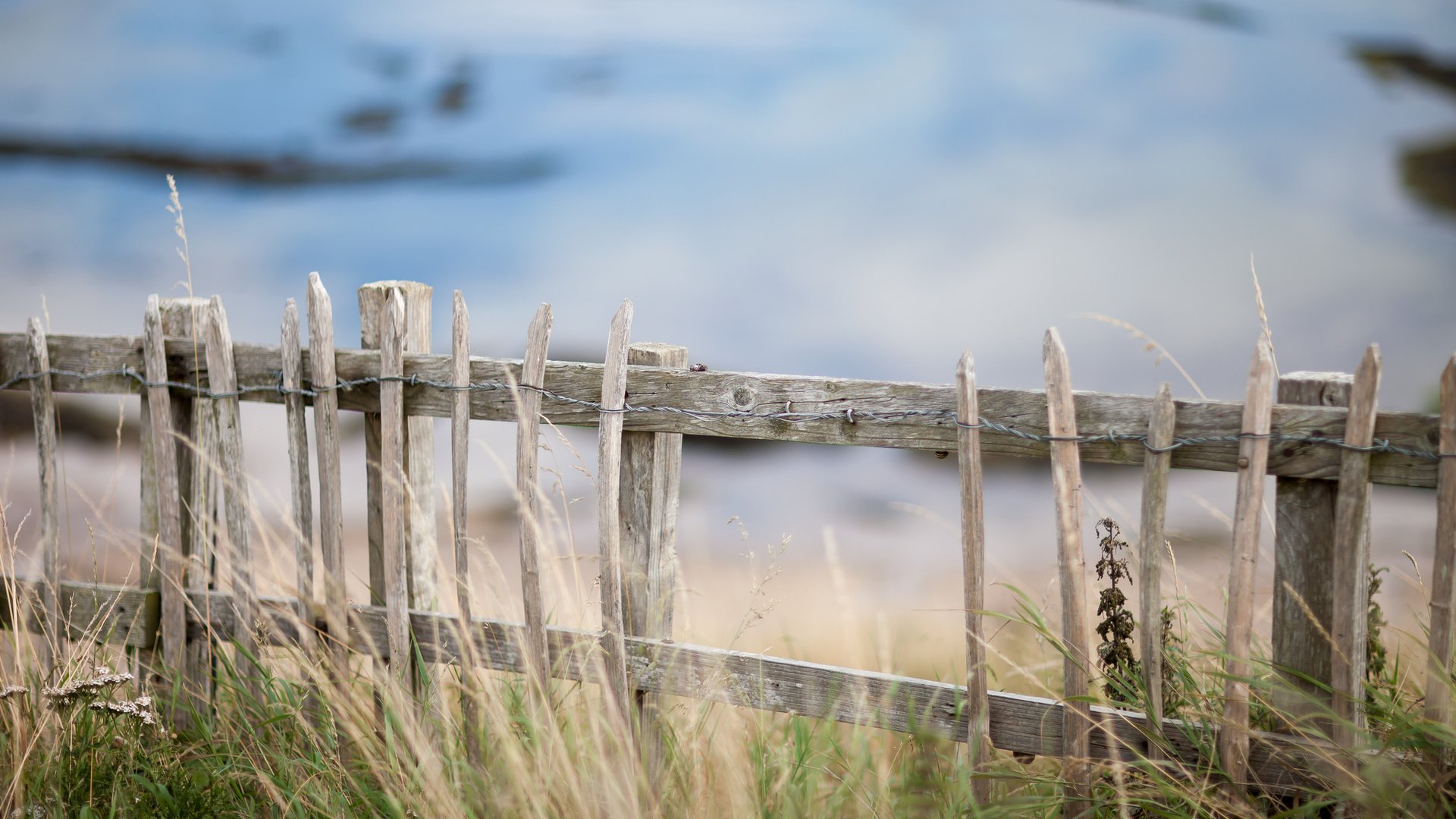 Обои трава, природа, забор, grass, nature, the fence разрешение 2048x1365 Загрузить