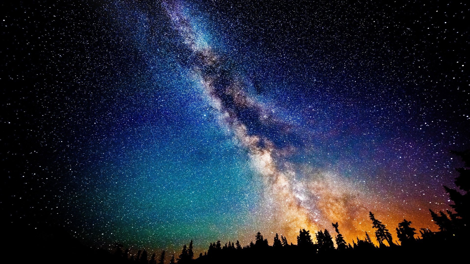 Обои небо, деревья, лес, звезды, млечный путь, the sky, trees, forest, stars, the milky way разрешение 2560x1600 Загрузить