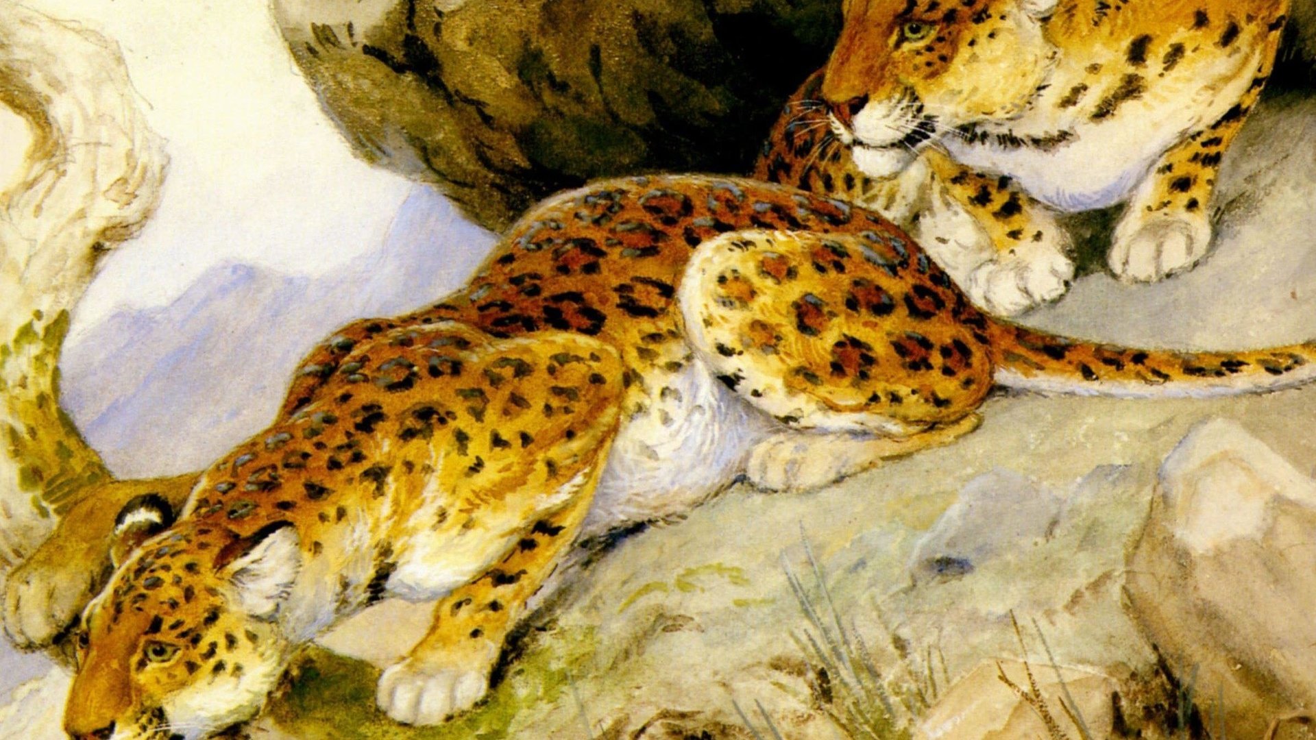Обои арт, хищники, леопарды, живопись, georges-frederic rotig, art, predators, leopards, painting разрешение 2391x1970 Загрузить