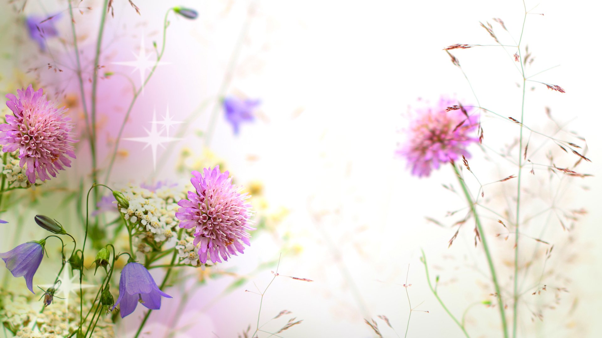 Обои макро, блики, колокольчики, васильки, боке, macro, glare, bells, cornflowers, bokeh разрешение 4200x3000 Загрузить